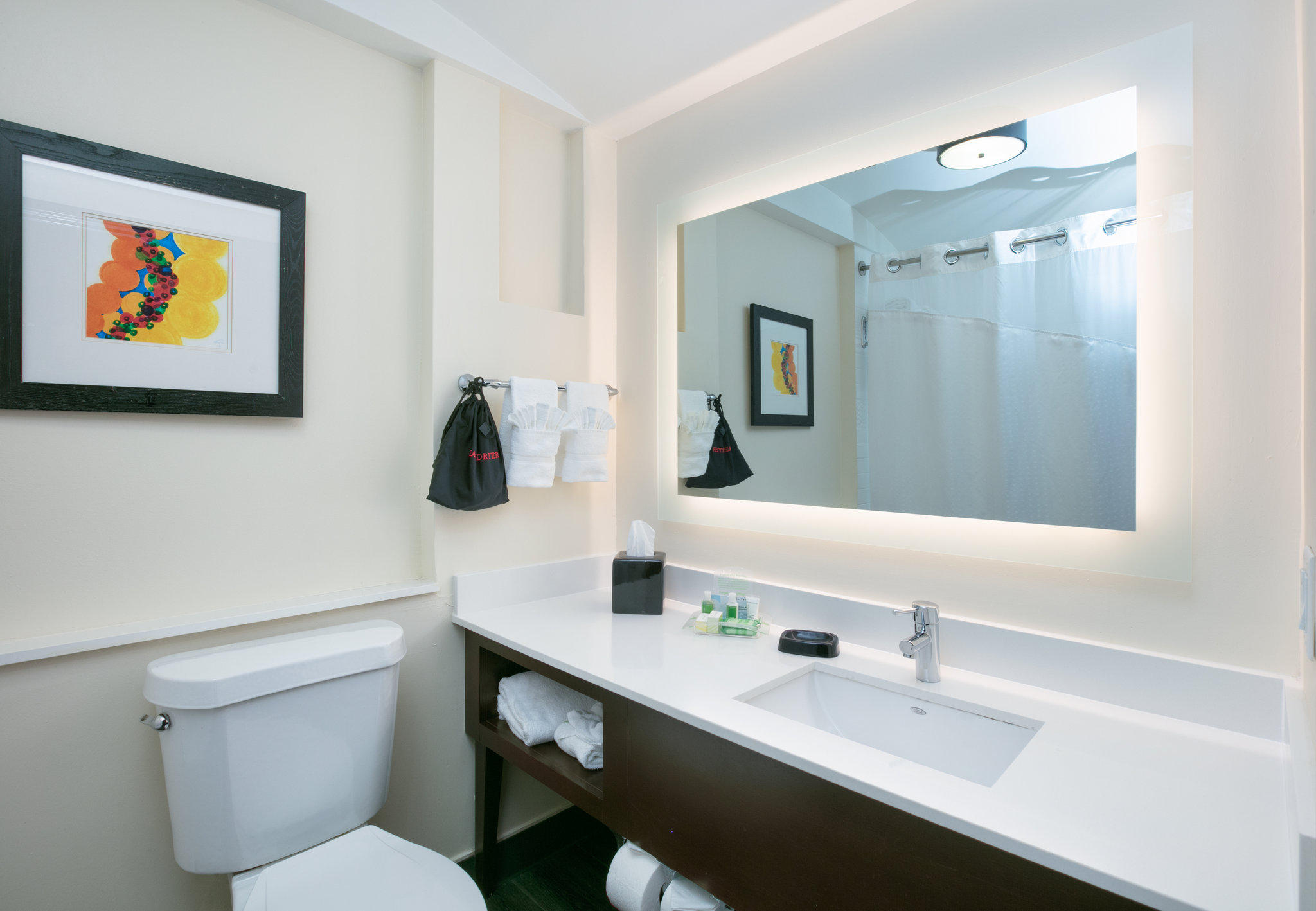 Фото Holiday Inn Dfw Airport South, an Ihg Hotel