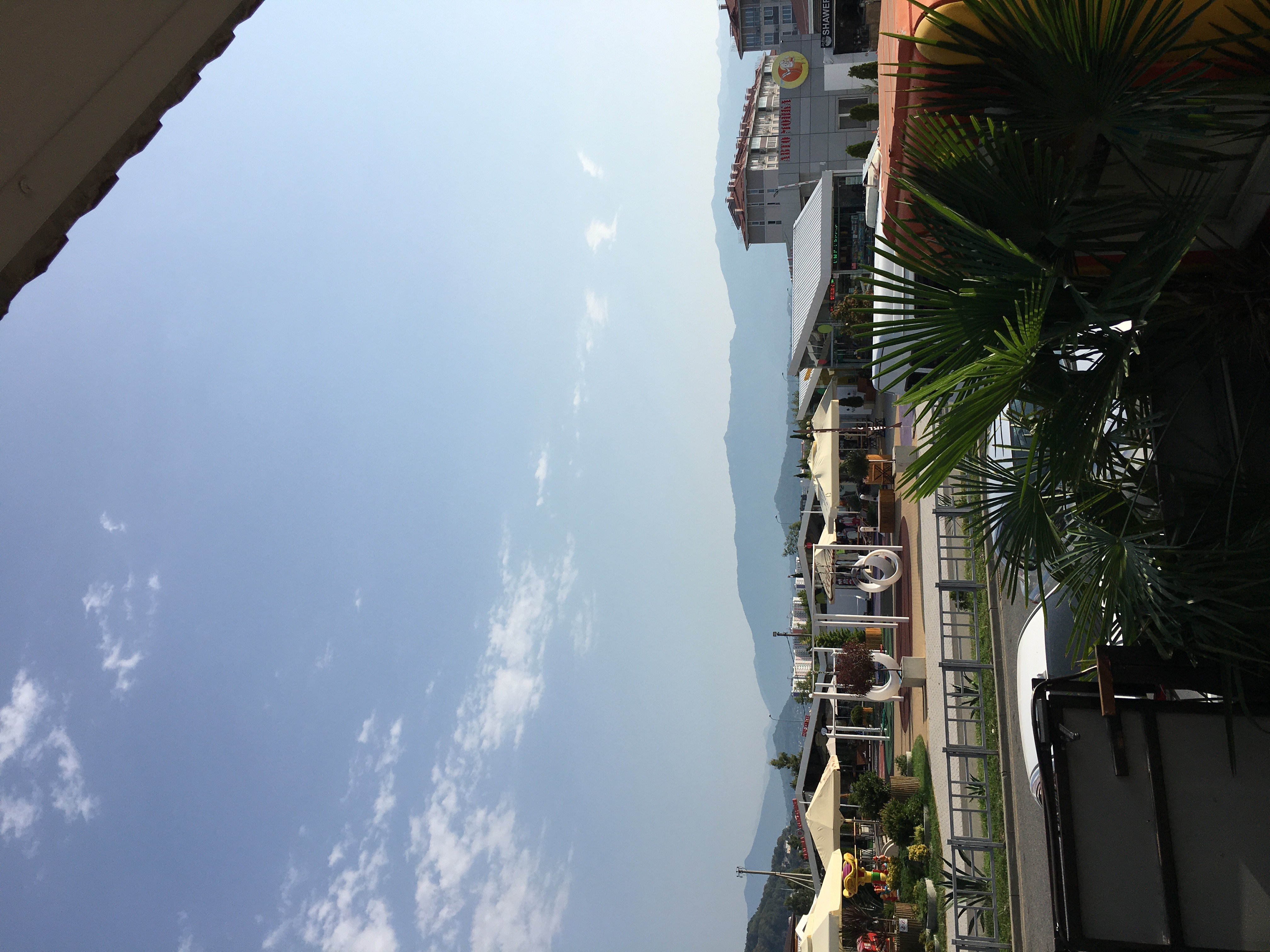 Фото Фортуна