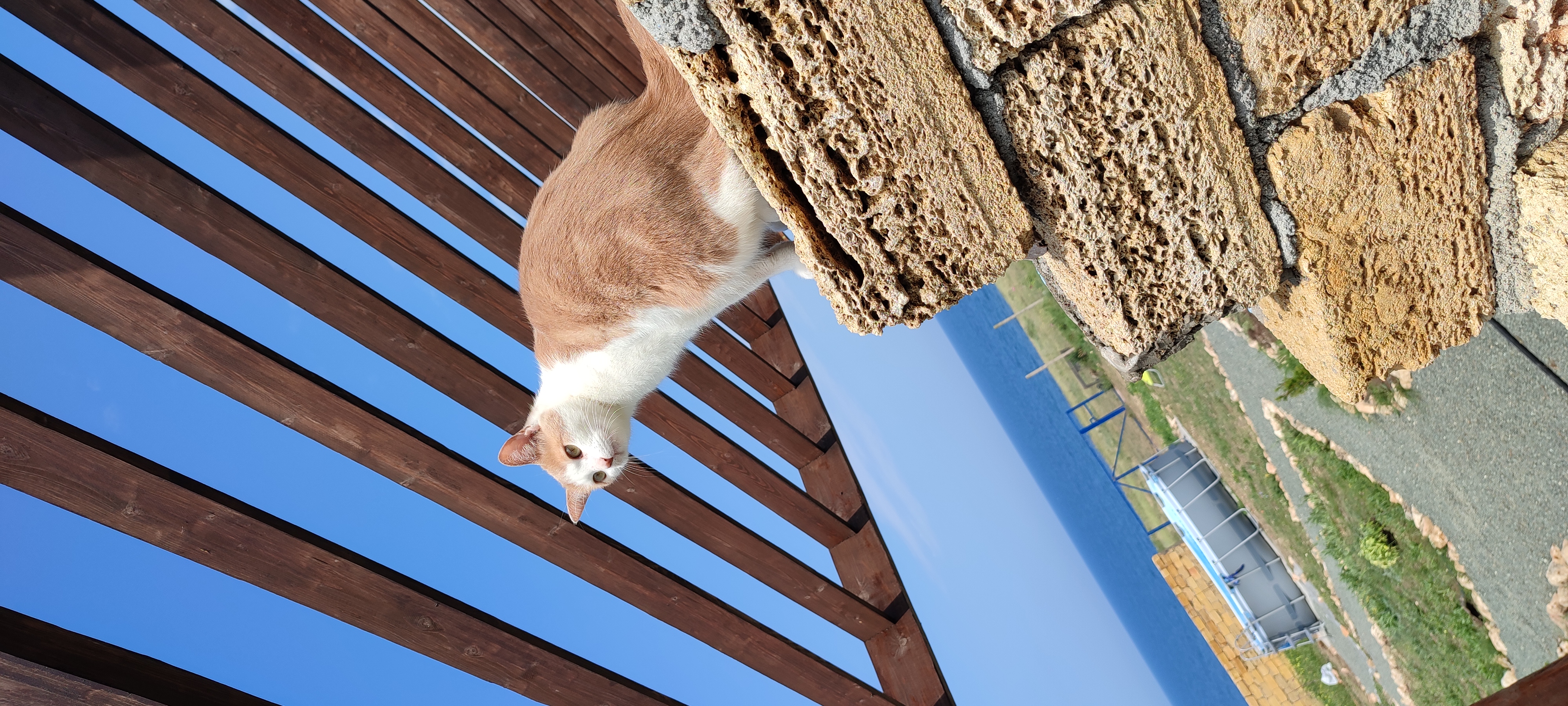 Фото Casa del Mar