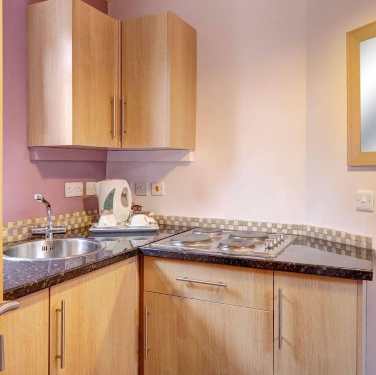 Фото The Loopy Shrew