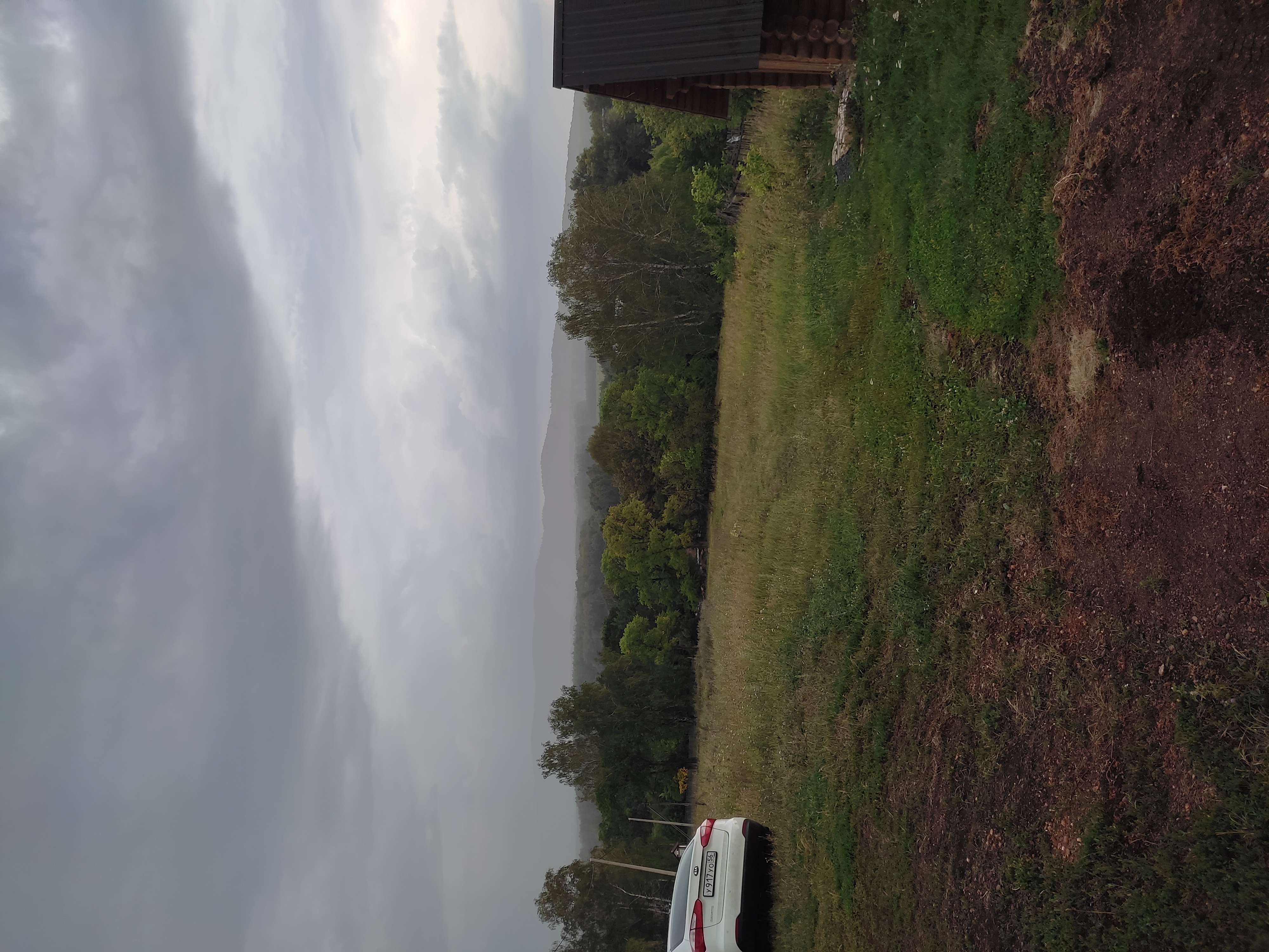 Фото Лесная сказка