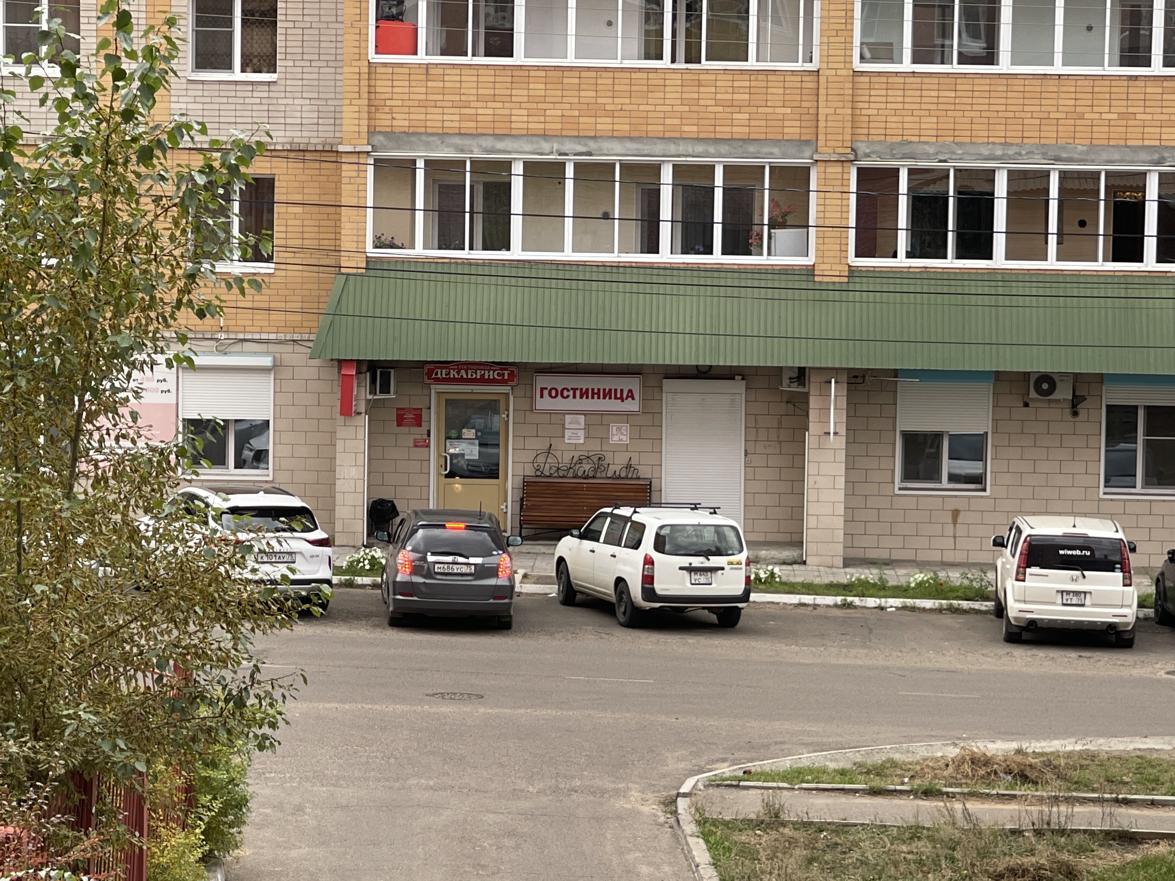 Фото Декабрист