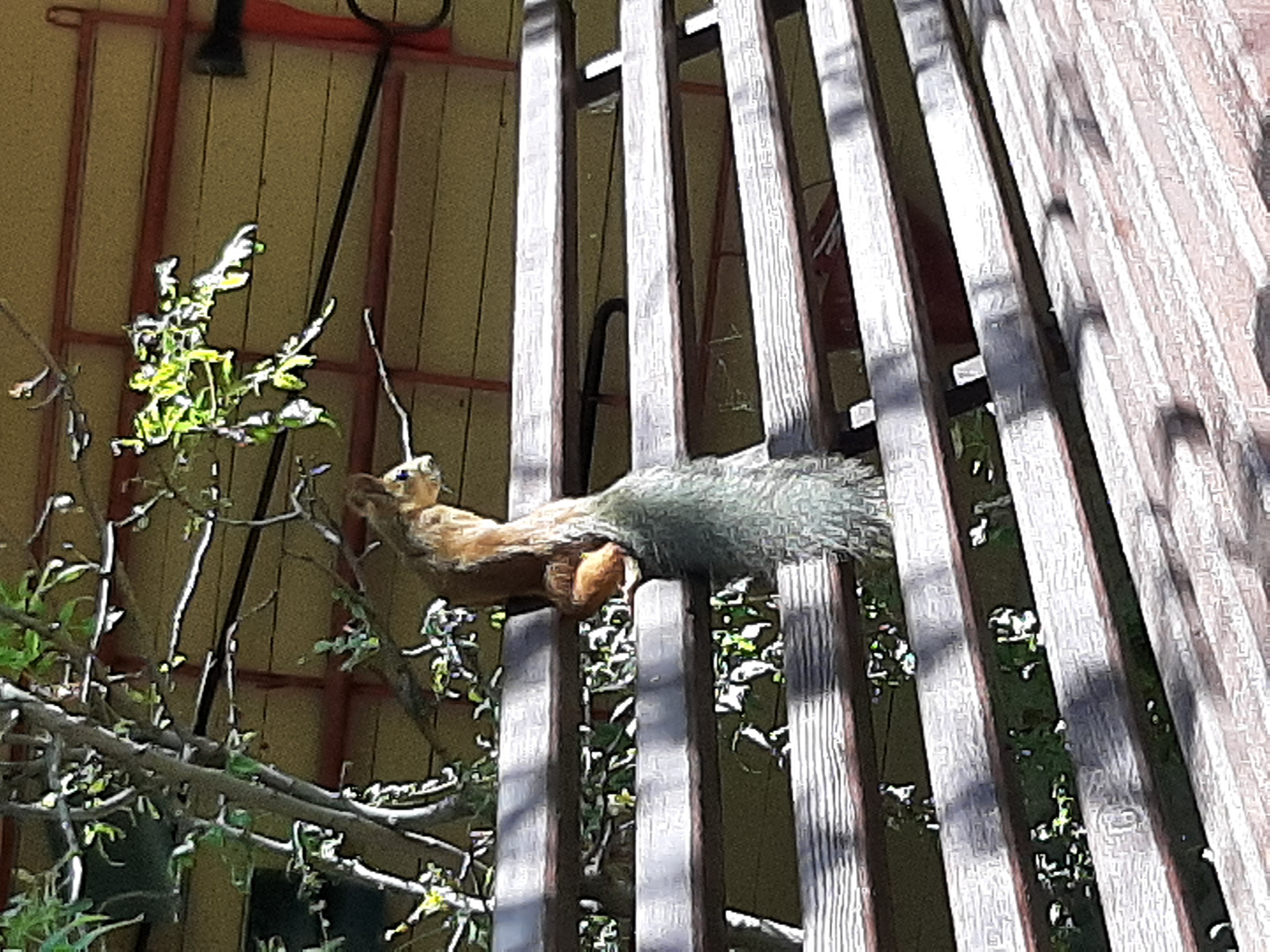 Фото Легенда