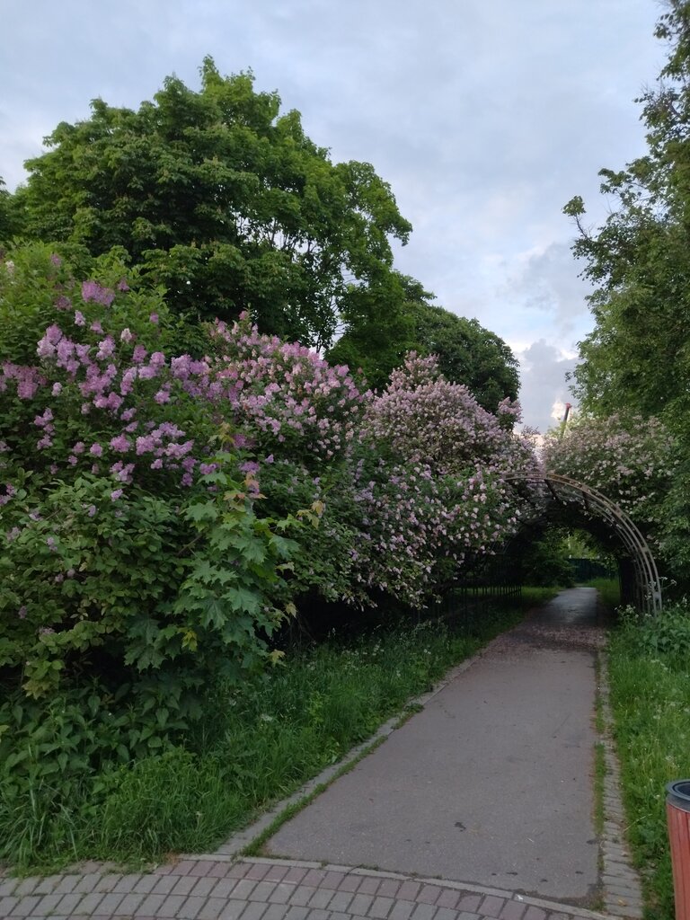 Park Park, Moscow, photo