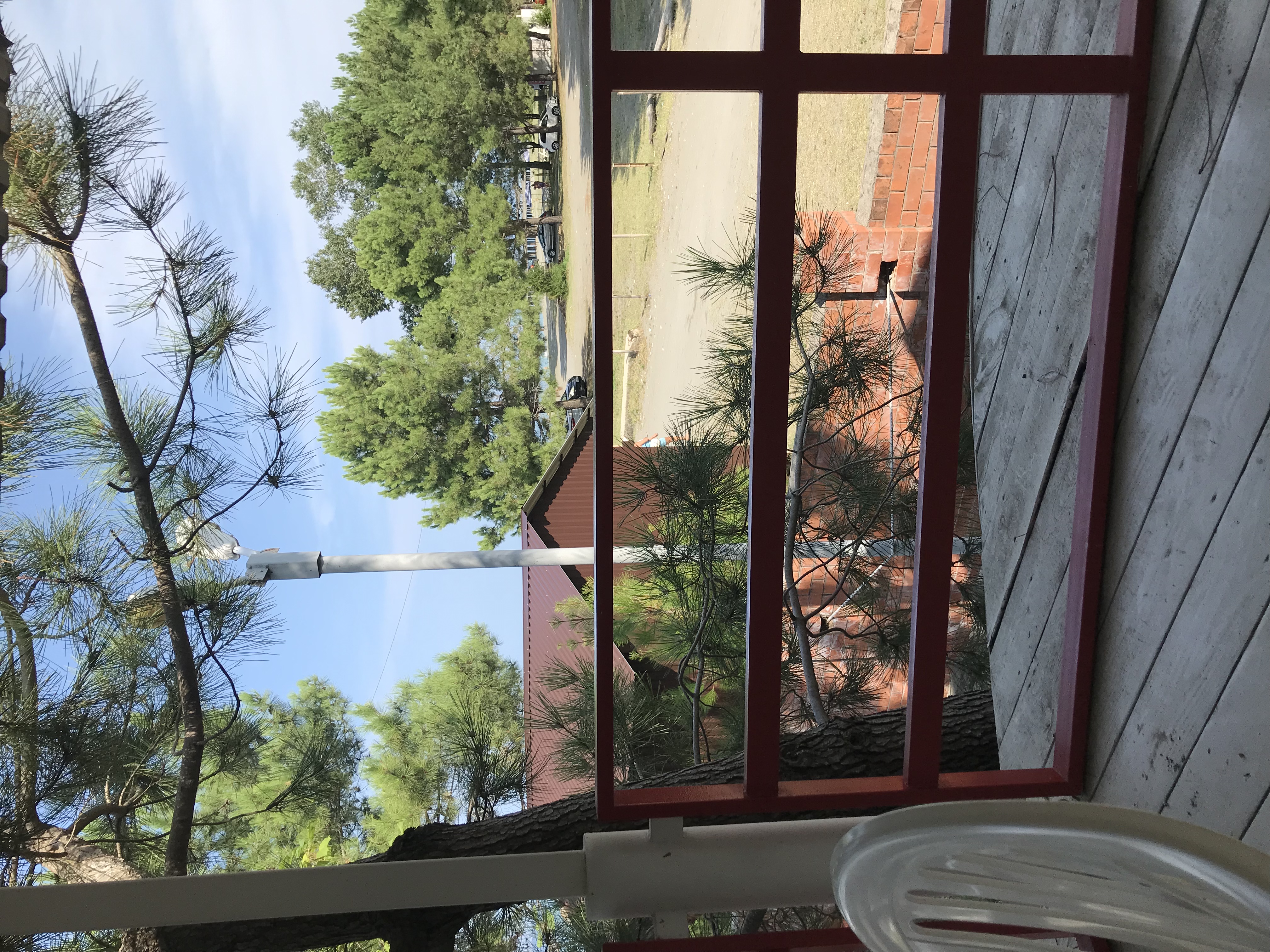 Фото Forest Club