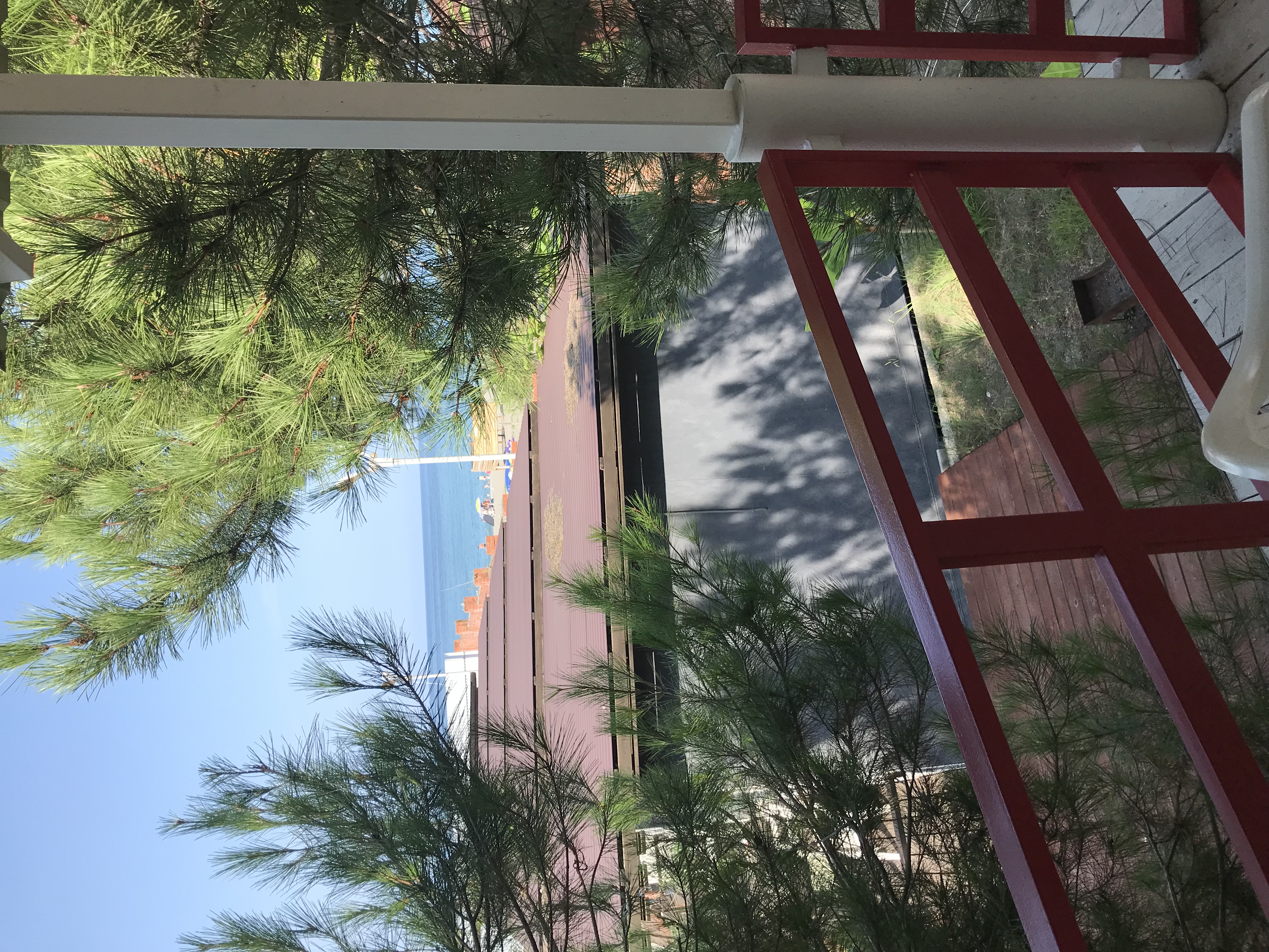 Фото Forest Club