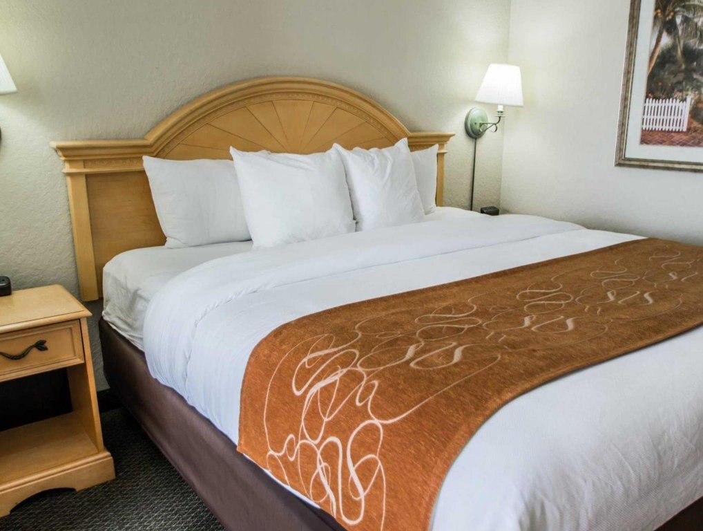 Фото Comfort Suites Downtown