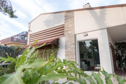 Фото Yucca Camere & Suite