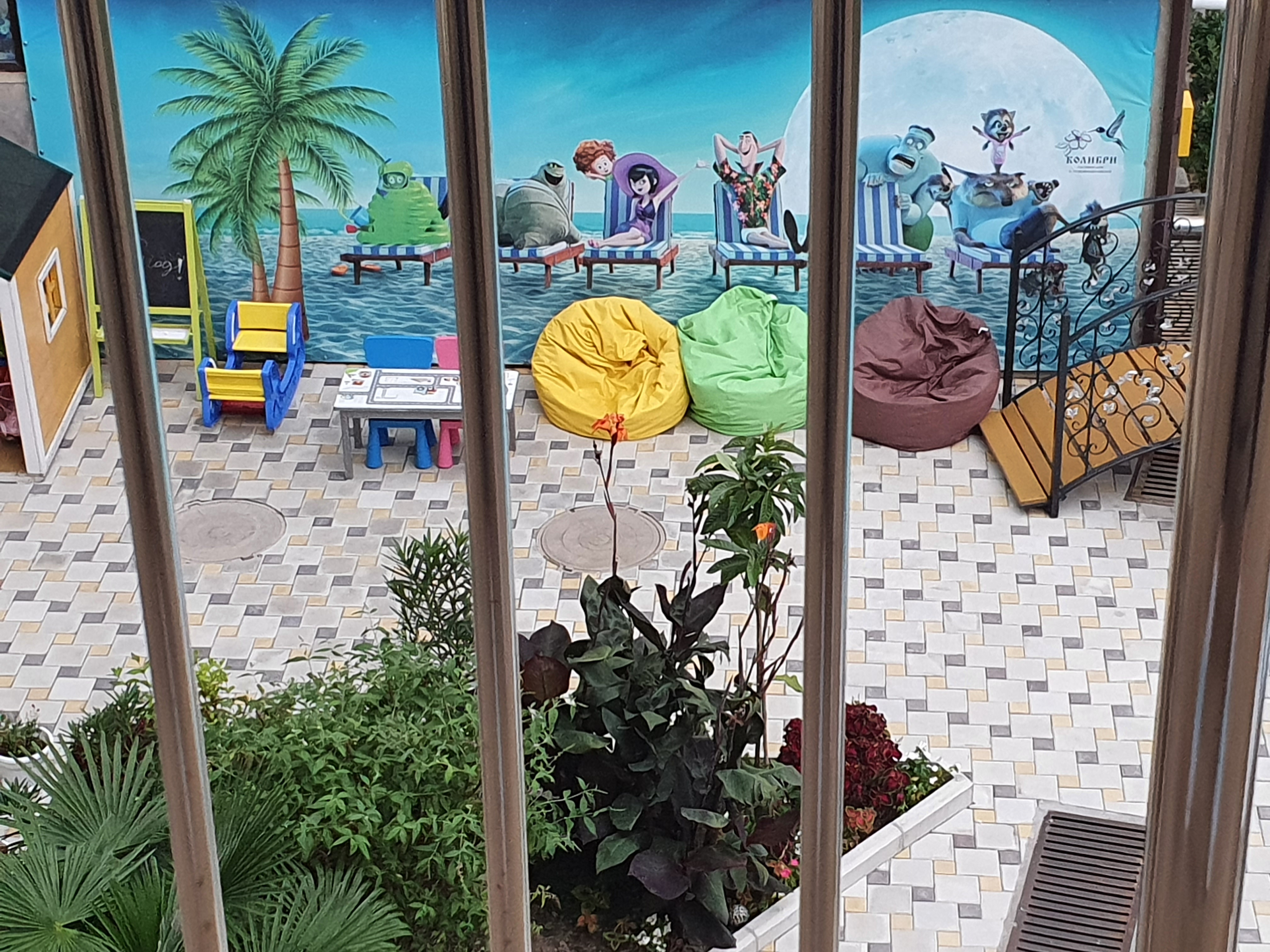 Фото Колибри