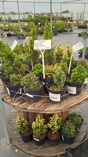 Адрес питомника Бабяковского