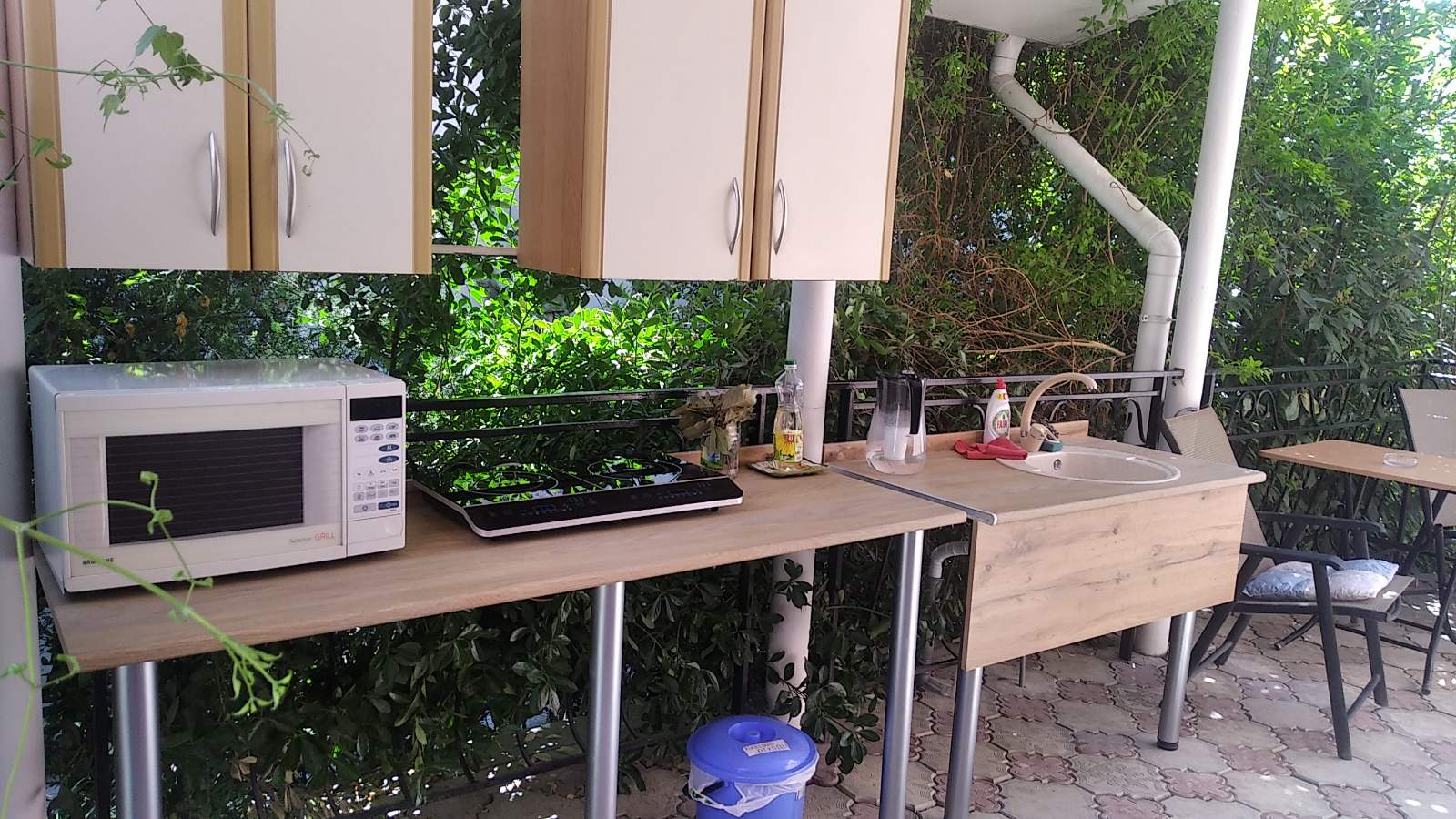 Фото Кипарис