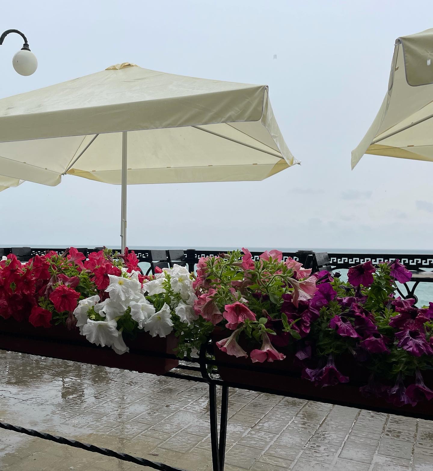 Фото Наш Парус