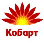 Кобарт (Котлостроительная ул., 36), азс в Таганроге