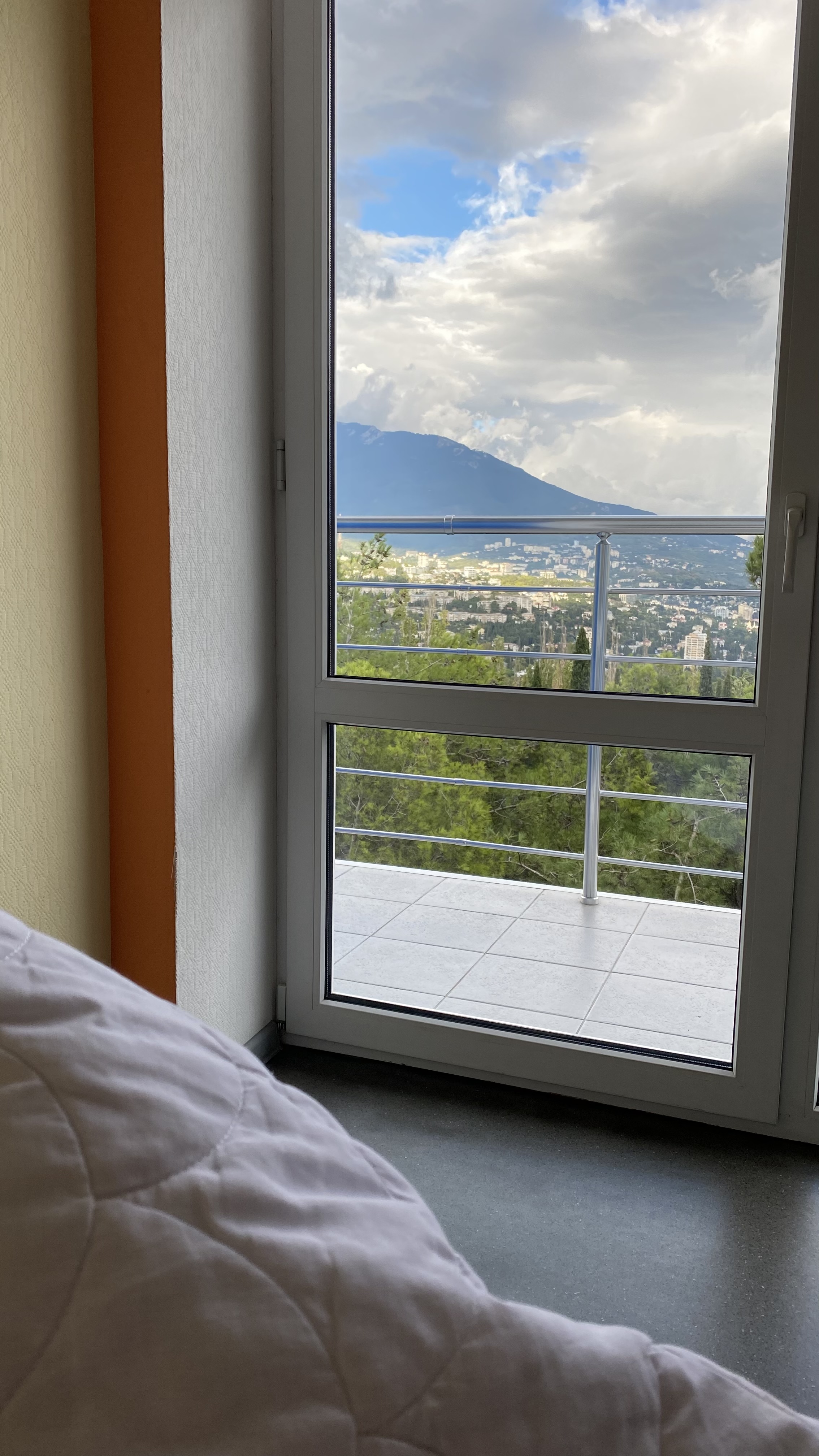 Фото Борода