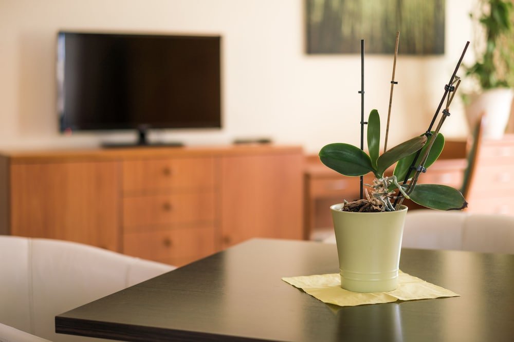 Фото Dw Hotel Zur Sonne