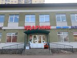 Ударник (Professionalnaya Street, 72Б), electric and gas powered tools