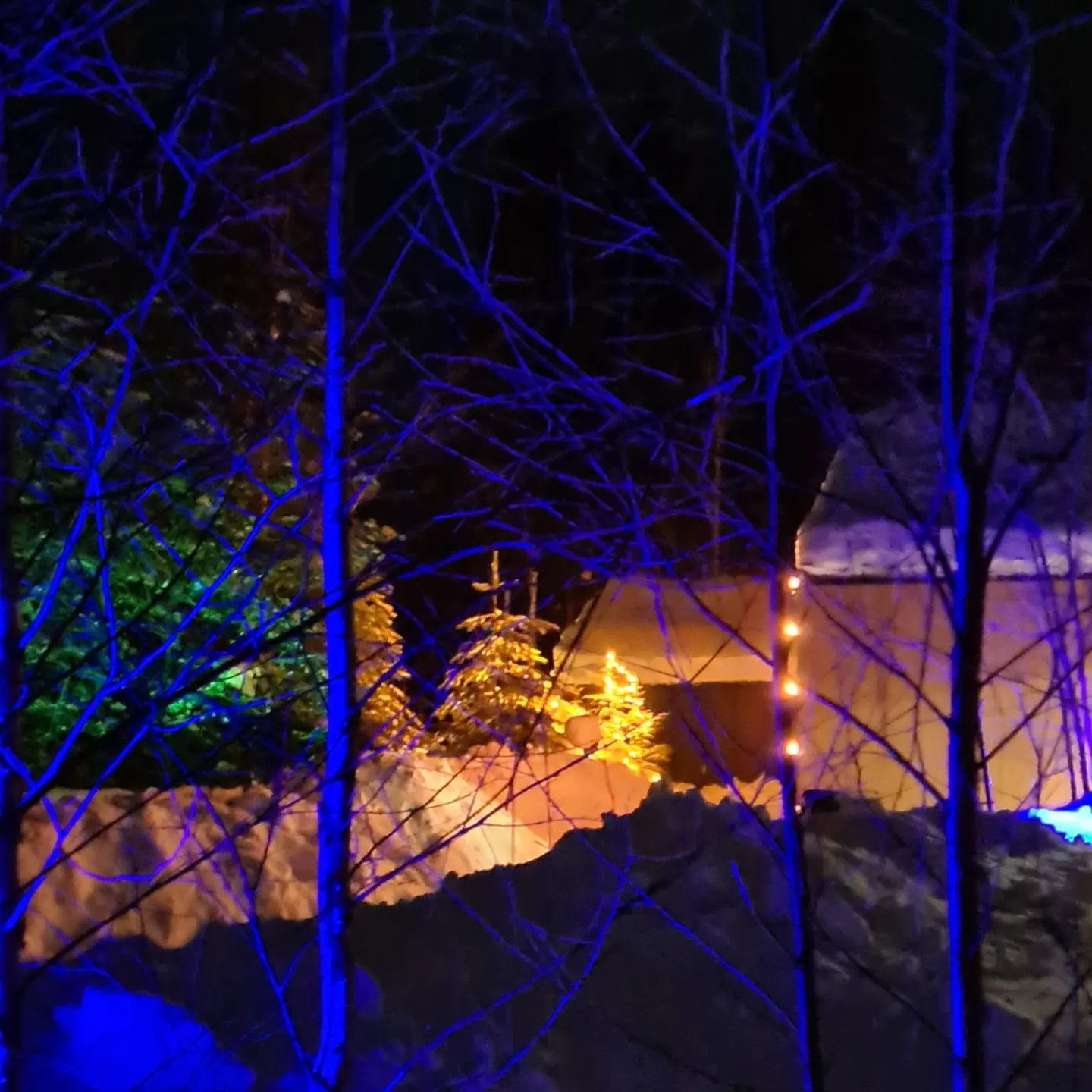 Фото ДомДомВалдай