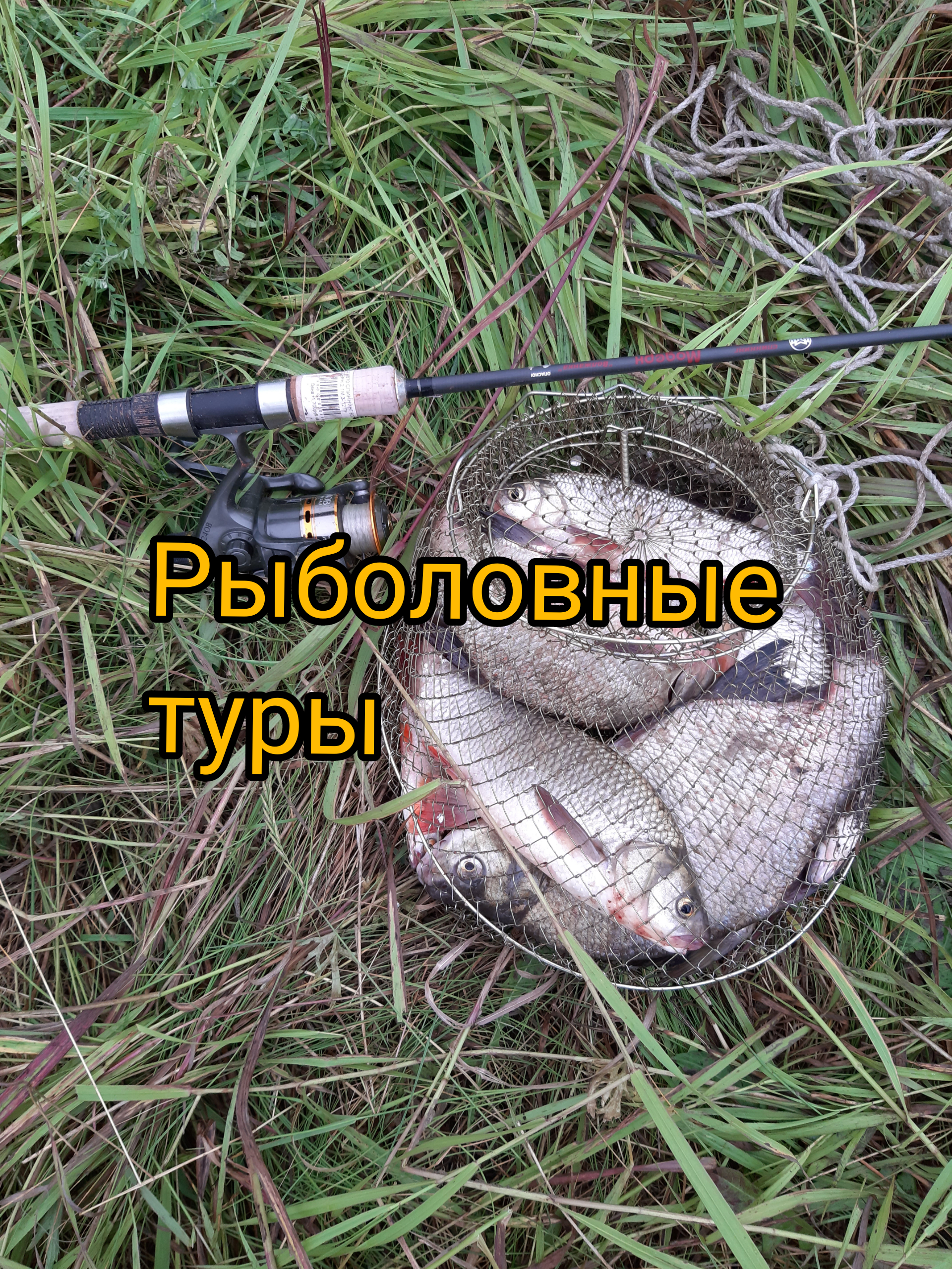 Фото Земляничная поляна