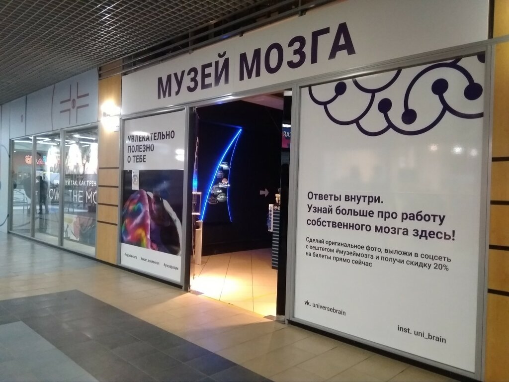 Музей Мозга. Маленький музей в Санкт-Петербурге, а столько впечатлений Di_travel