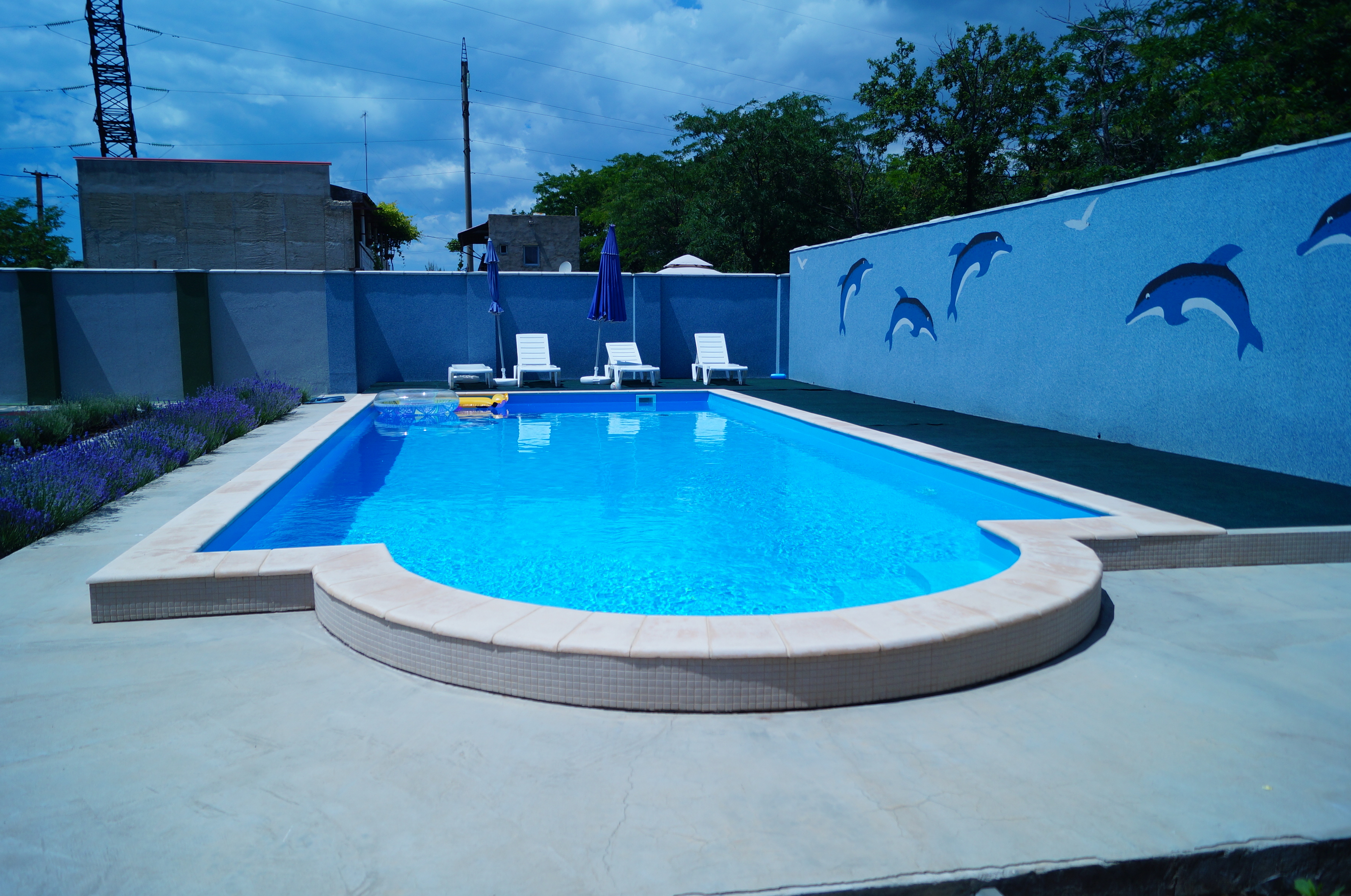 Фото Семицветик