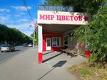 Mir tsvetov (ulitsa Chicherina, 36/4), floristeria