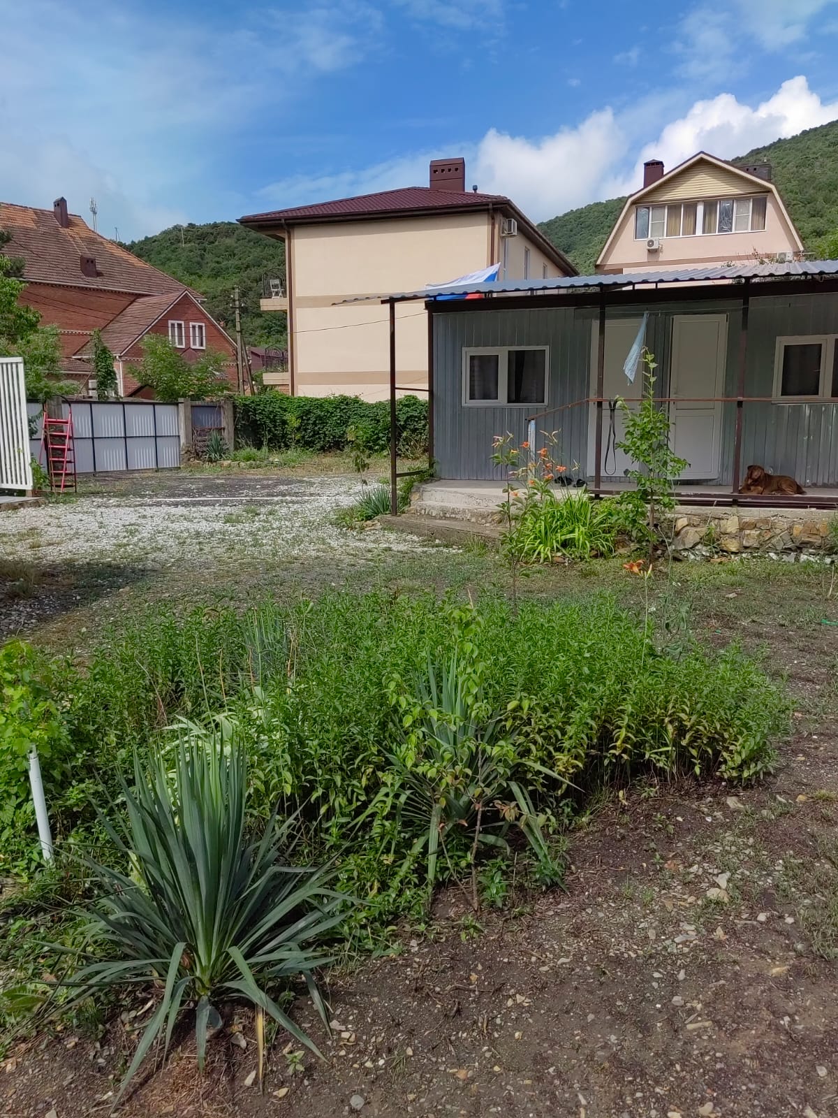 Фото Светлана