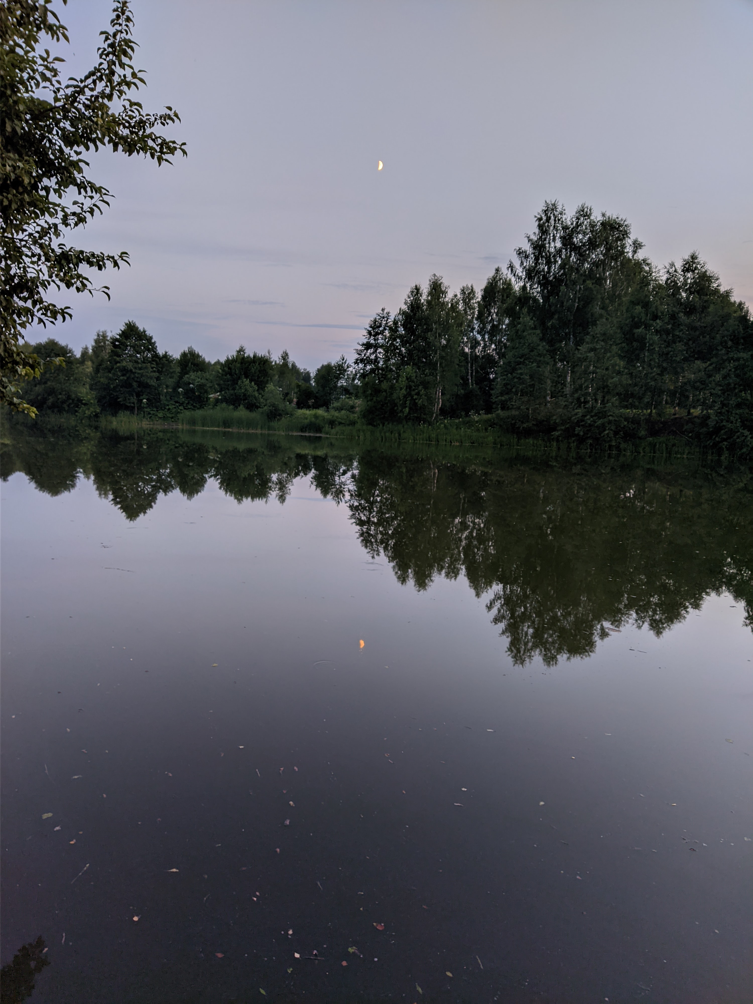 Фото Земляничная поляна