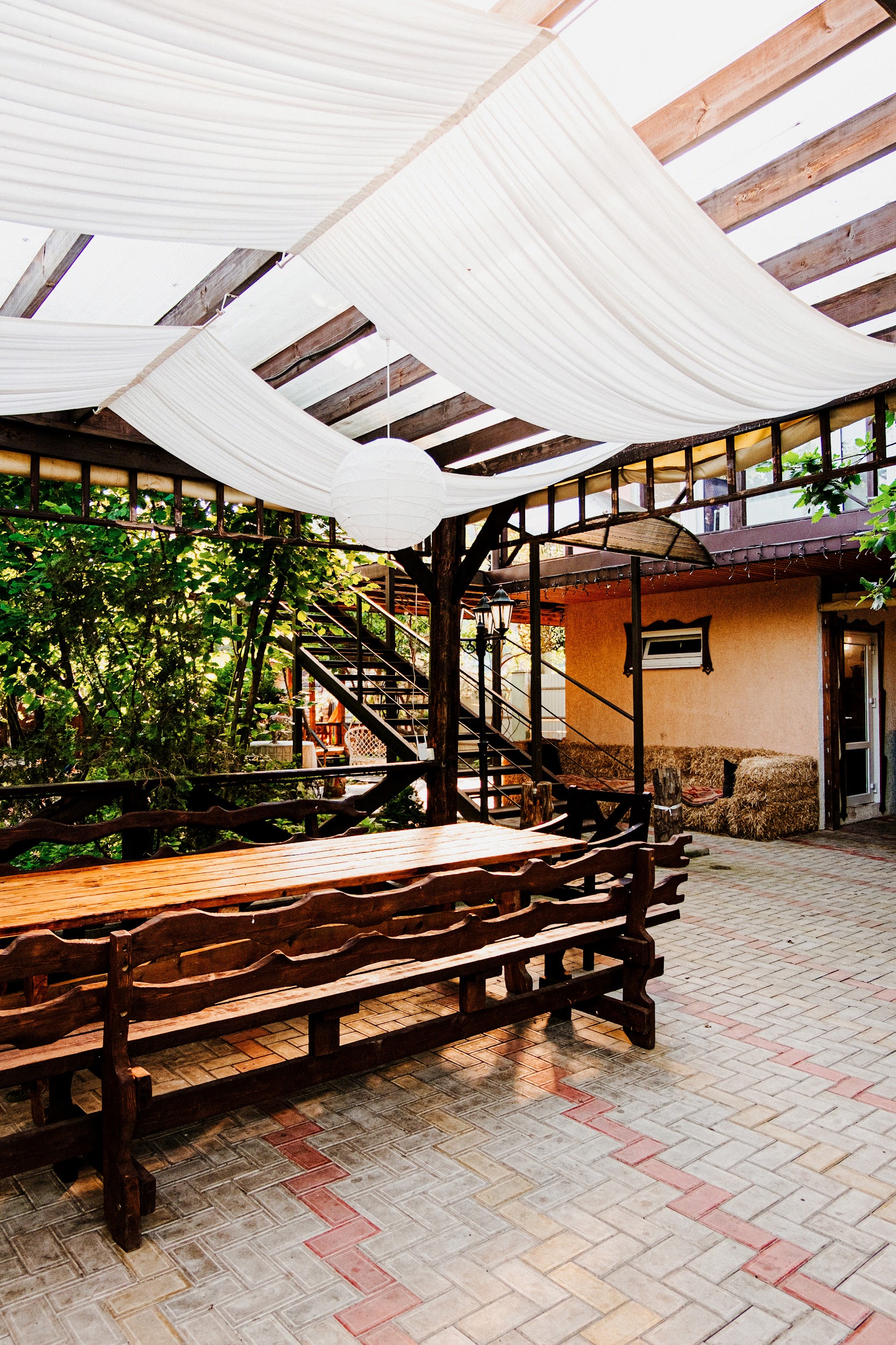 Фото Курочка Ряба