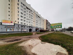 ТМК (Pskov, Rizhskiy Avenue, 51А), windows