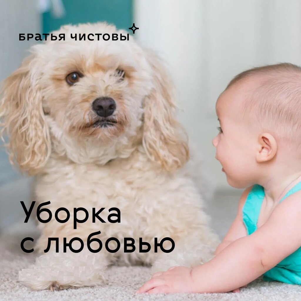 Cleaning services Cleanbros, Balashiha, photo