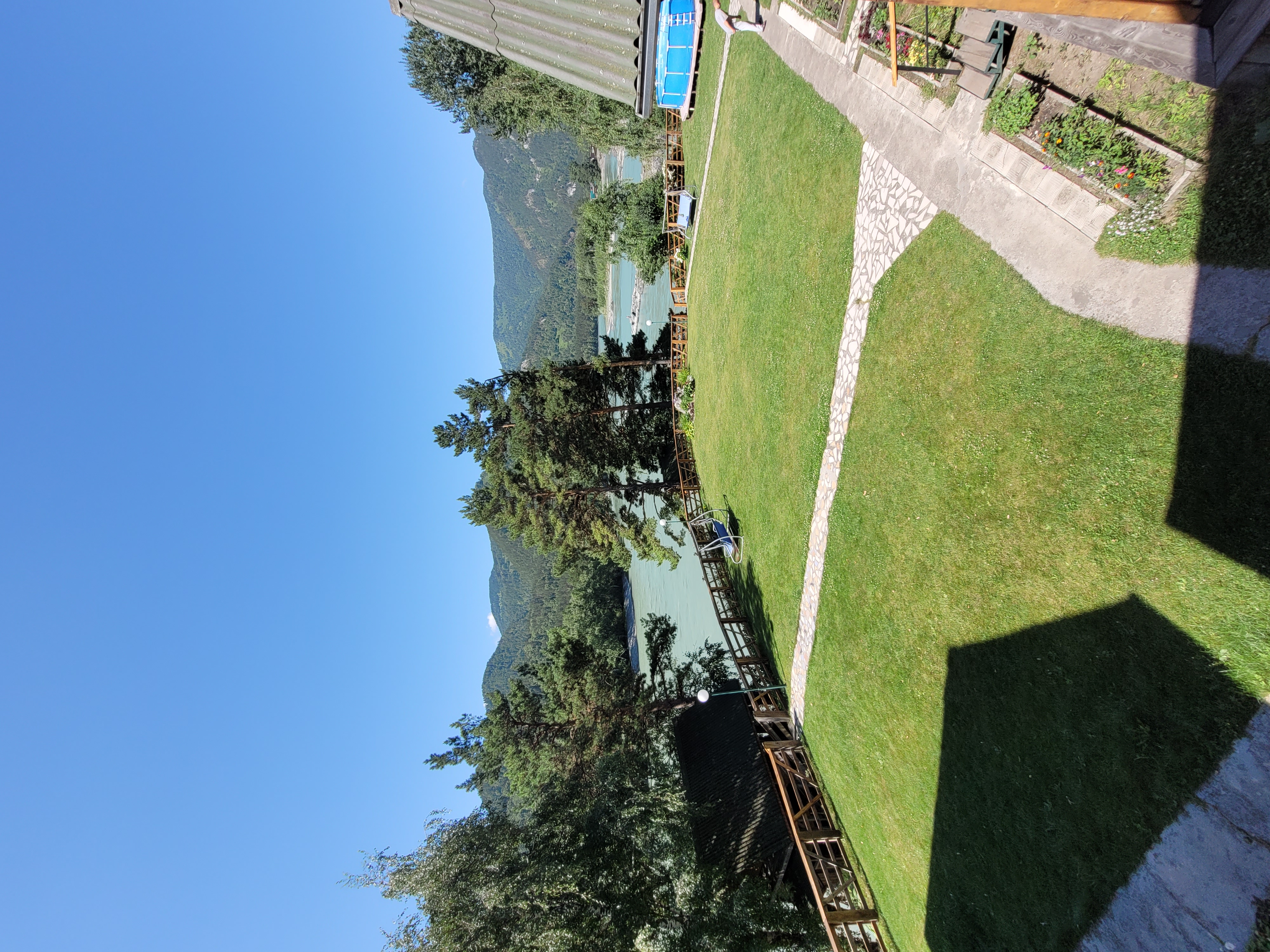 Фото Альбатрос