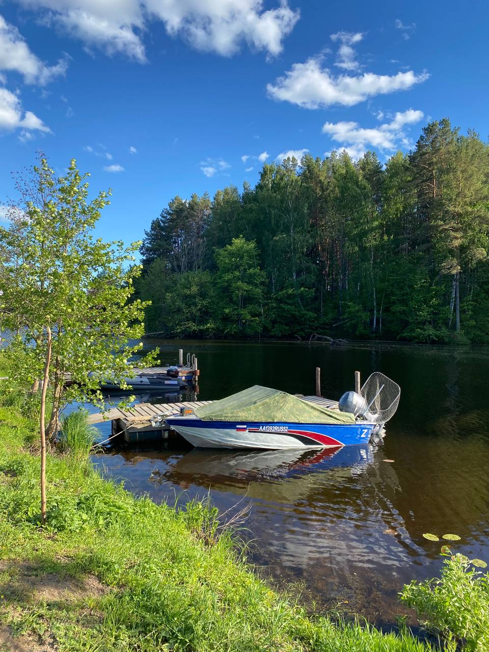 Фото Разнежье