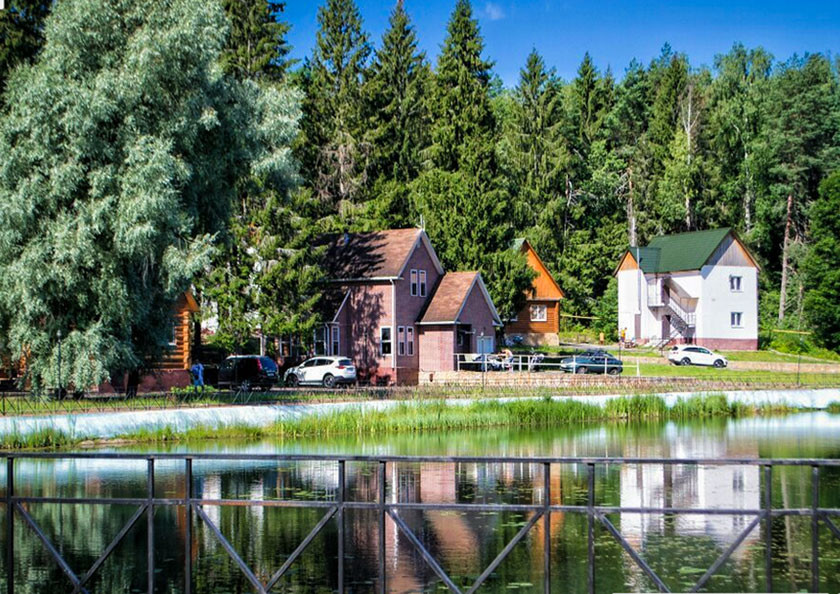 Фото Лесная сказка