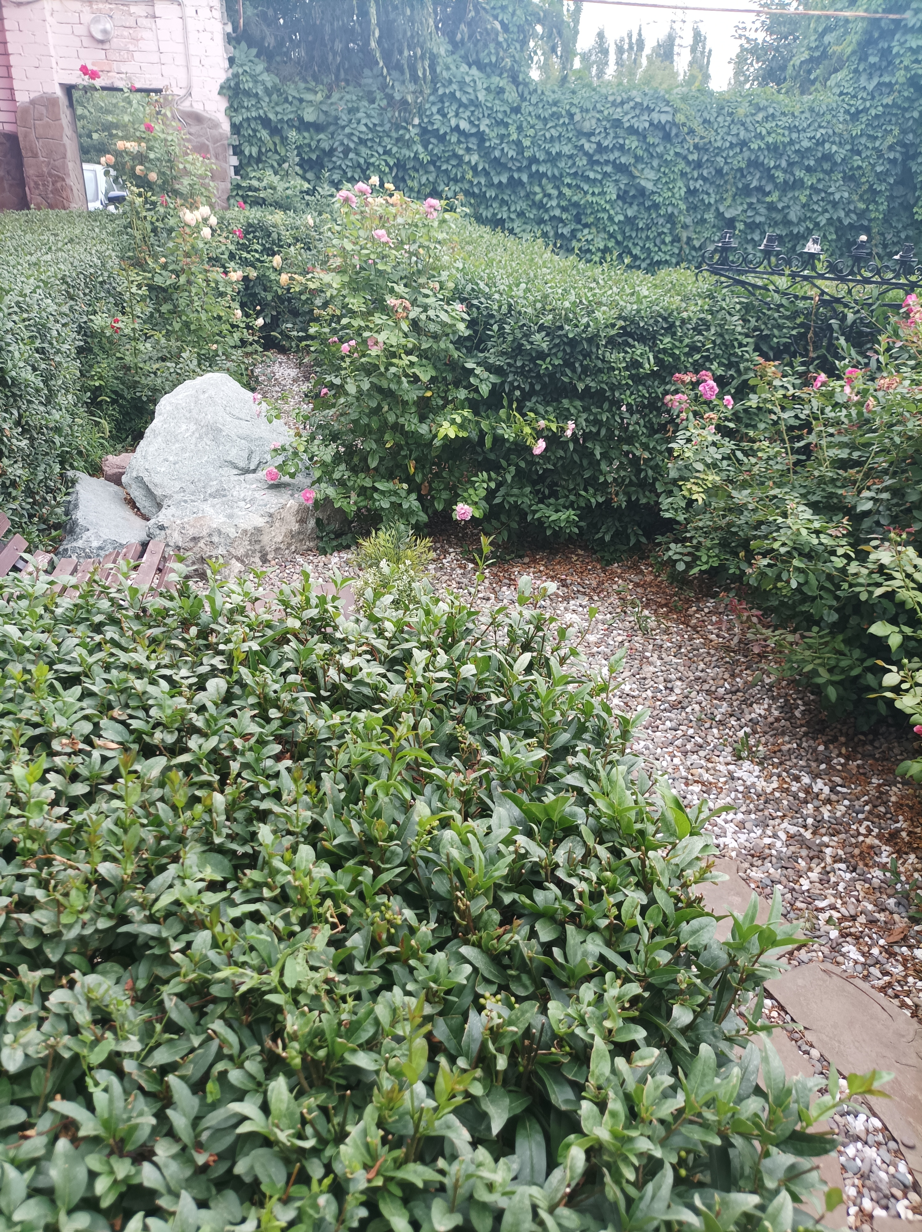 Фото Штурман