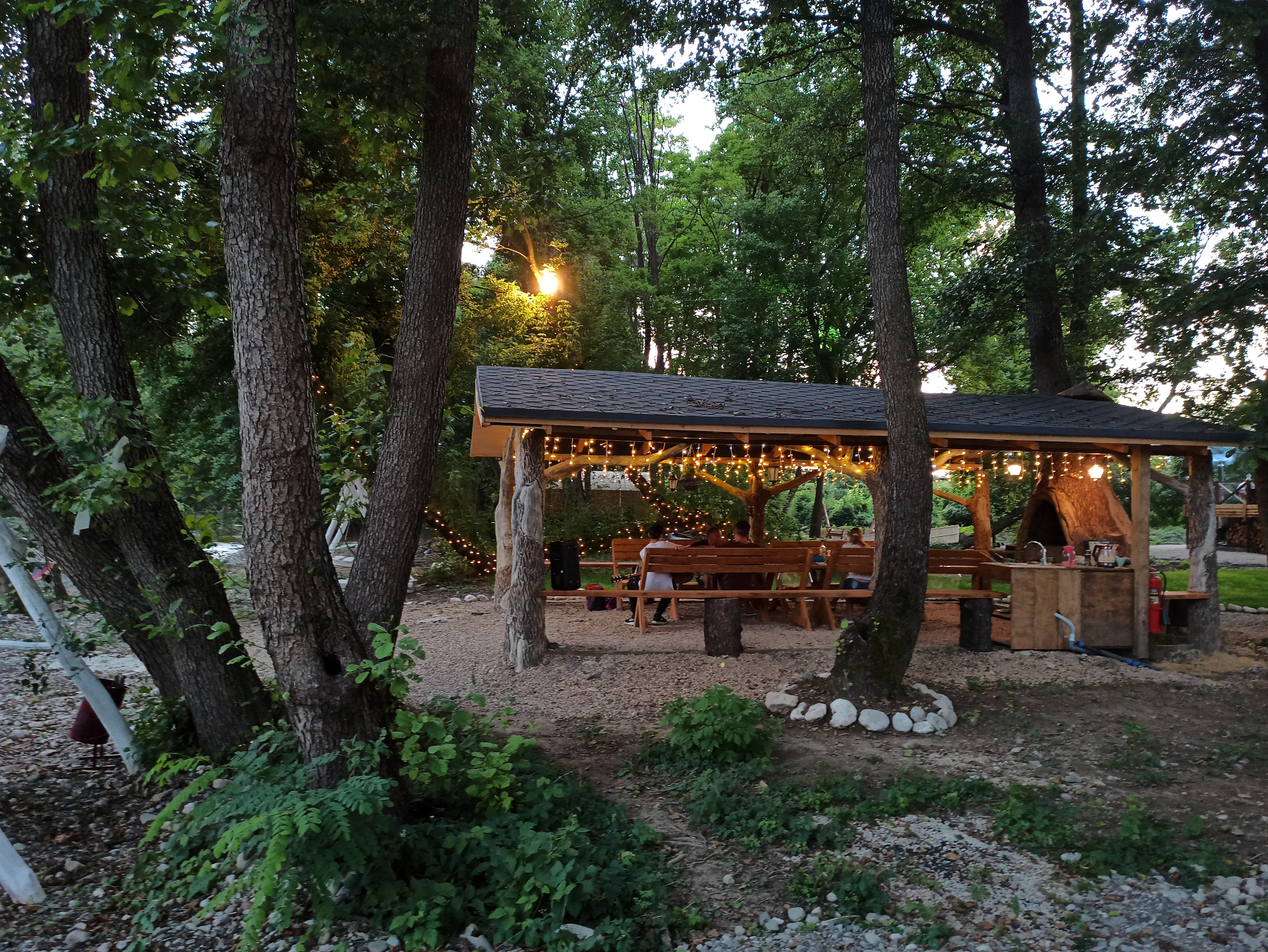 Фото Богатый лес