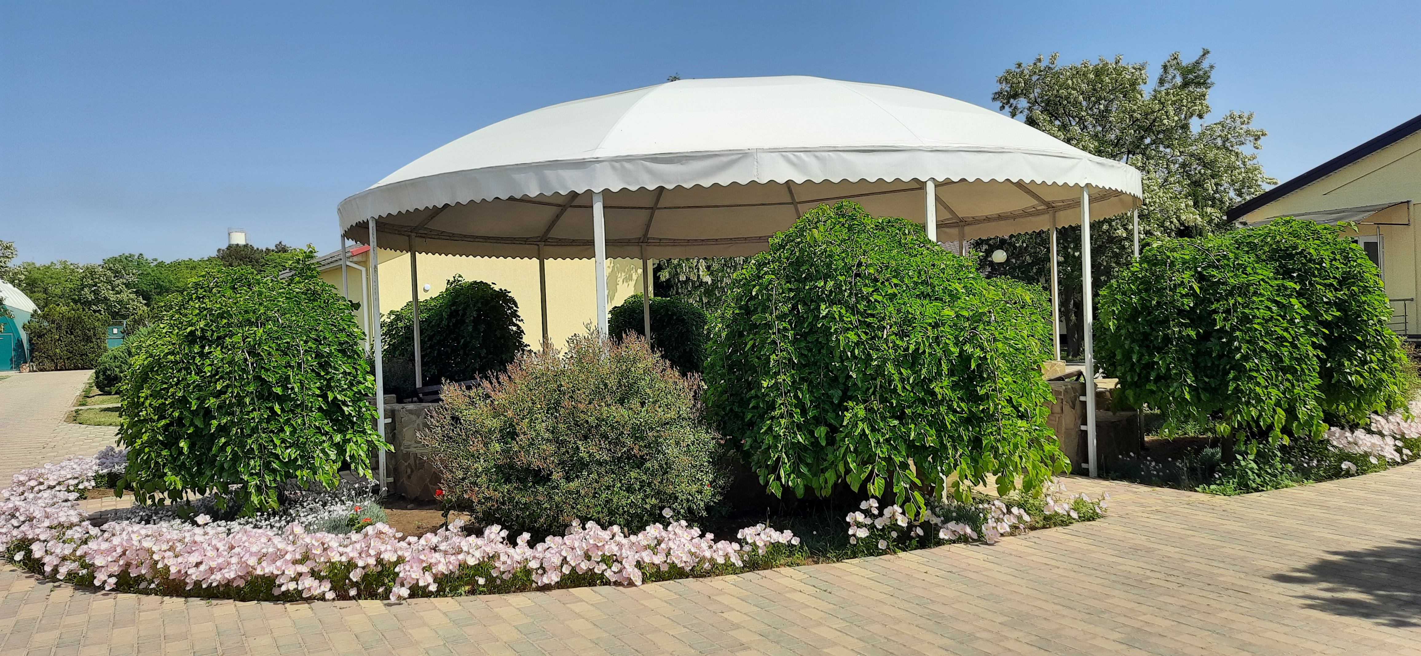 Фото Солнечный берег