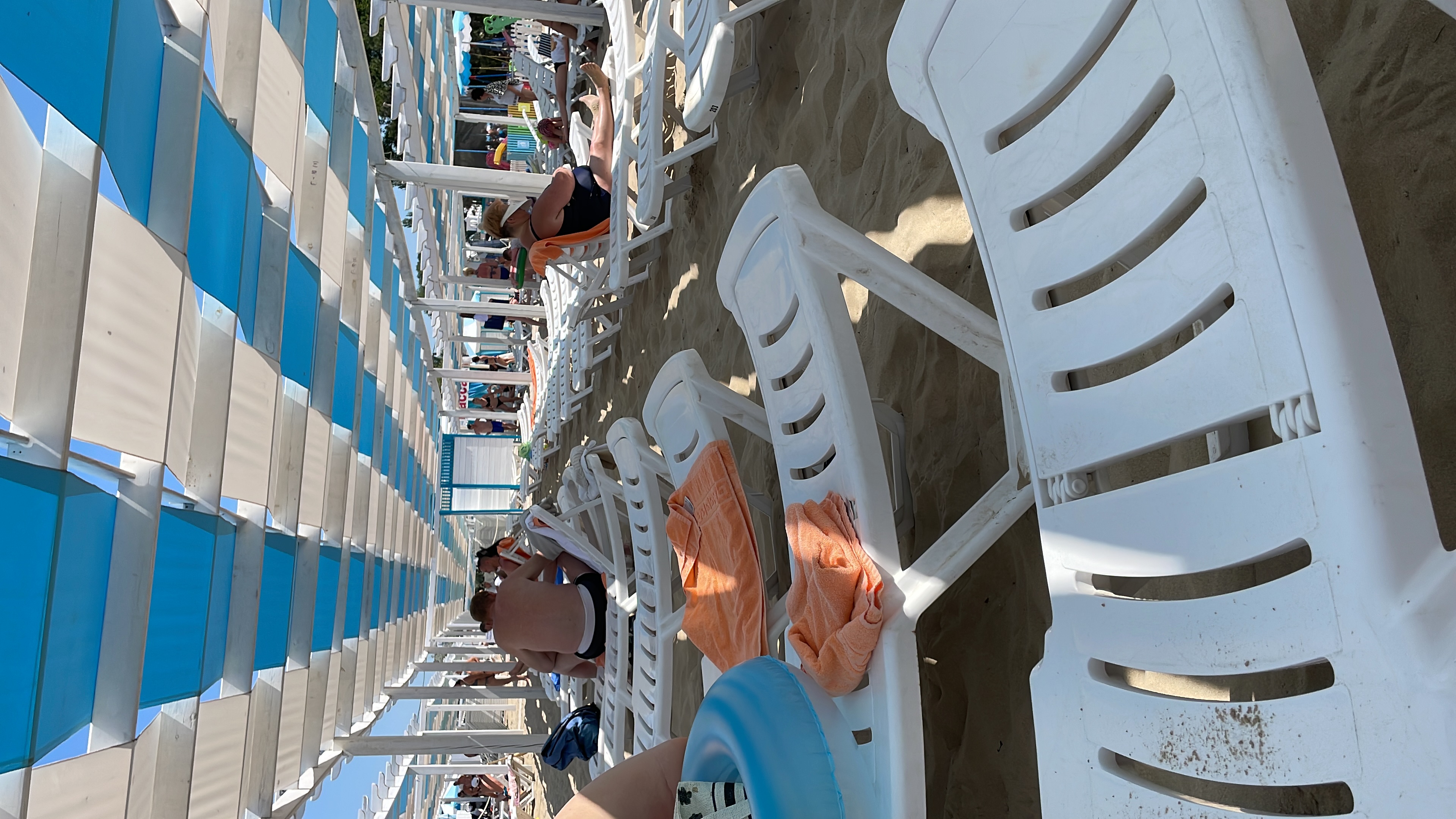 Фото Альбатрос