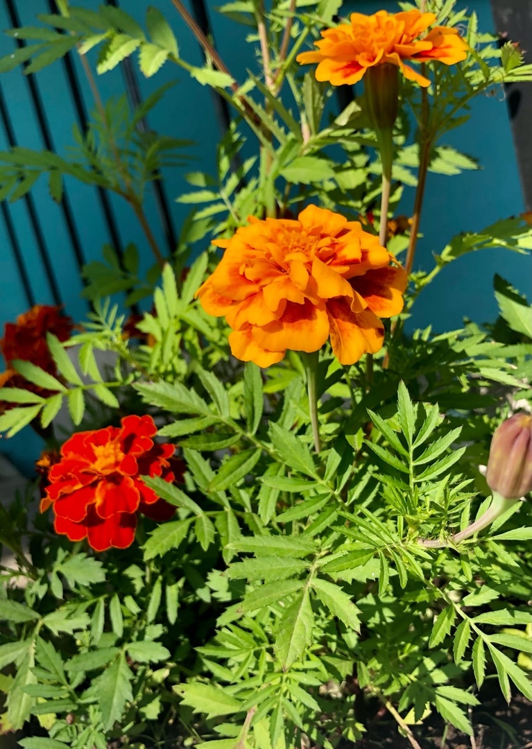 Фото Никольская Гавань