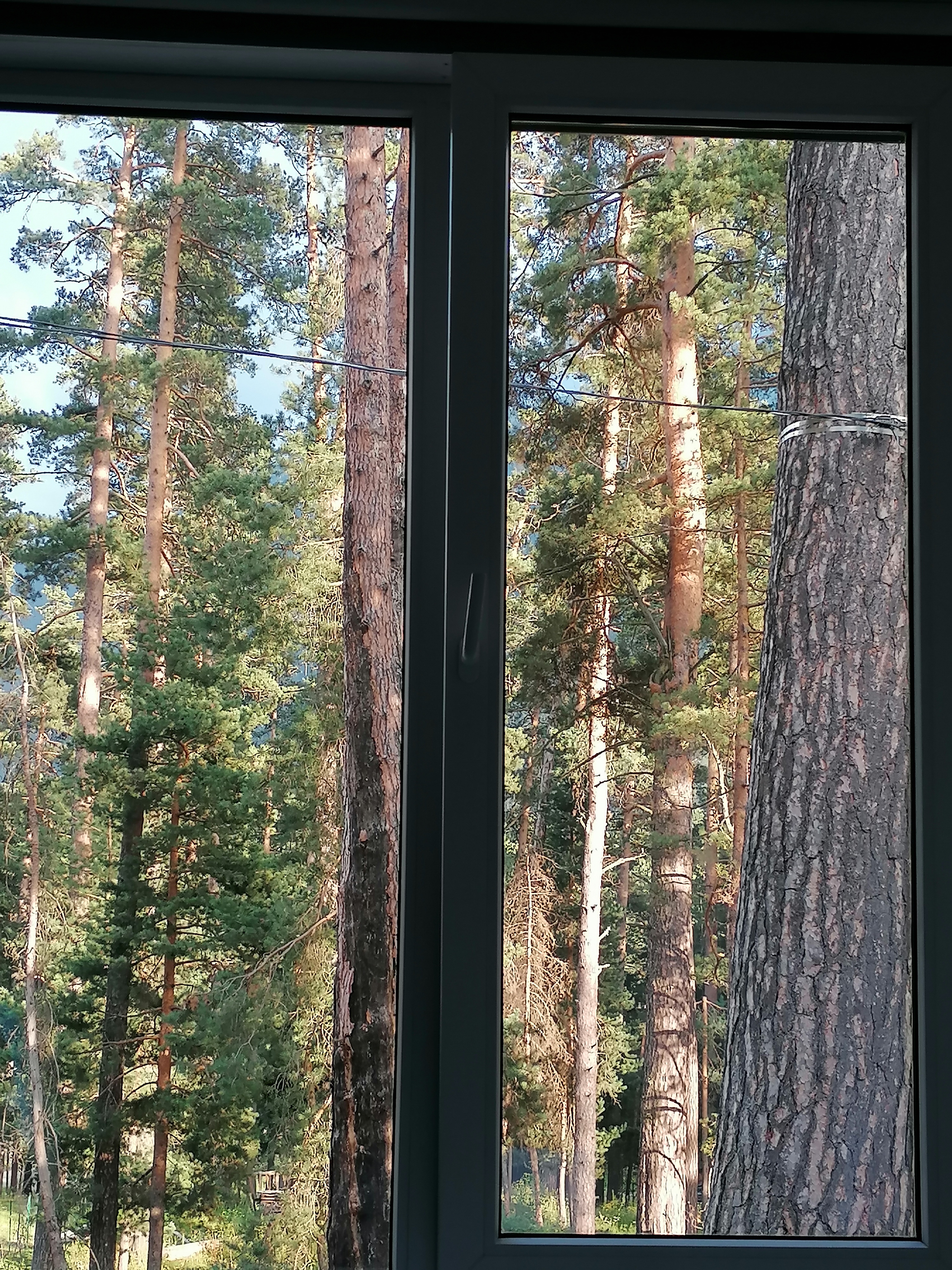 Фото Goose House