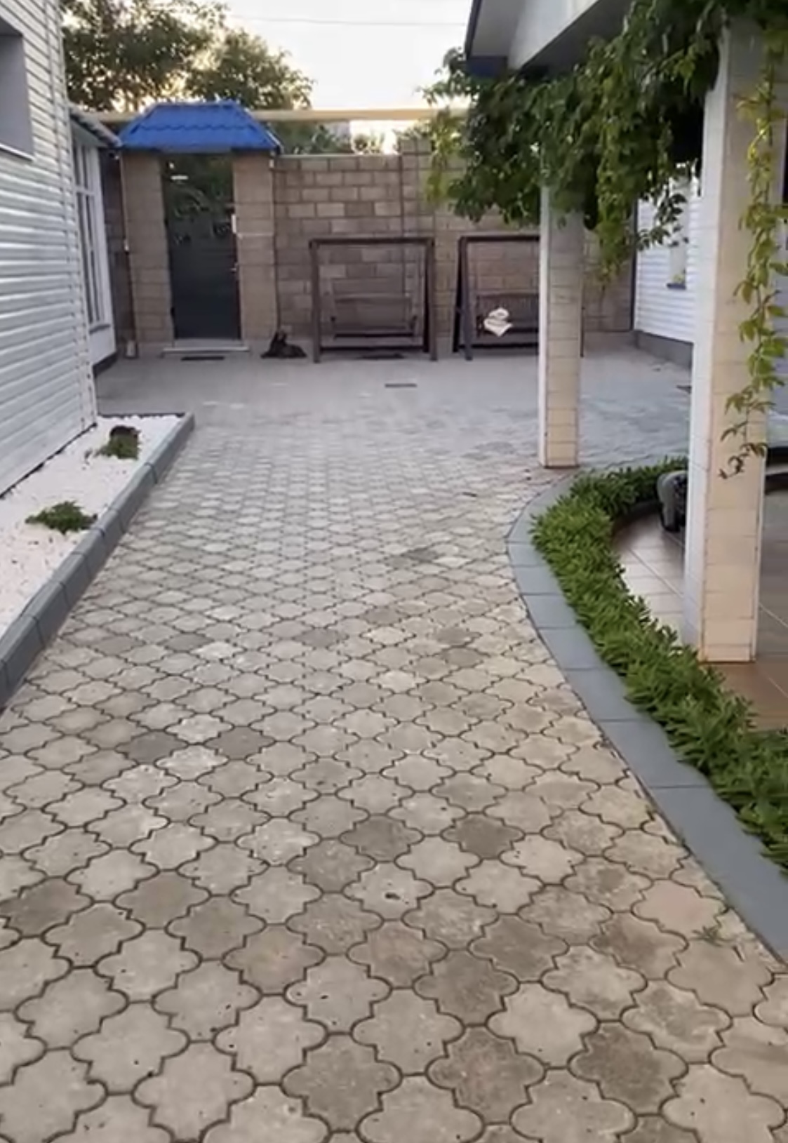 Фото Андромеда