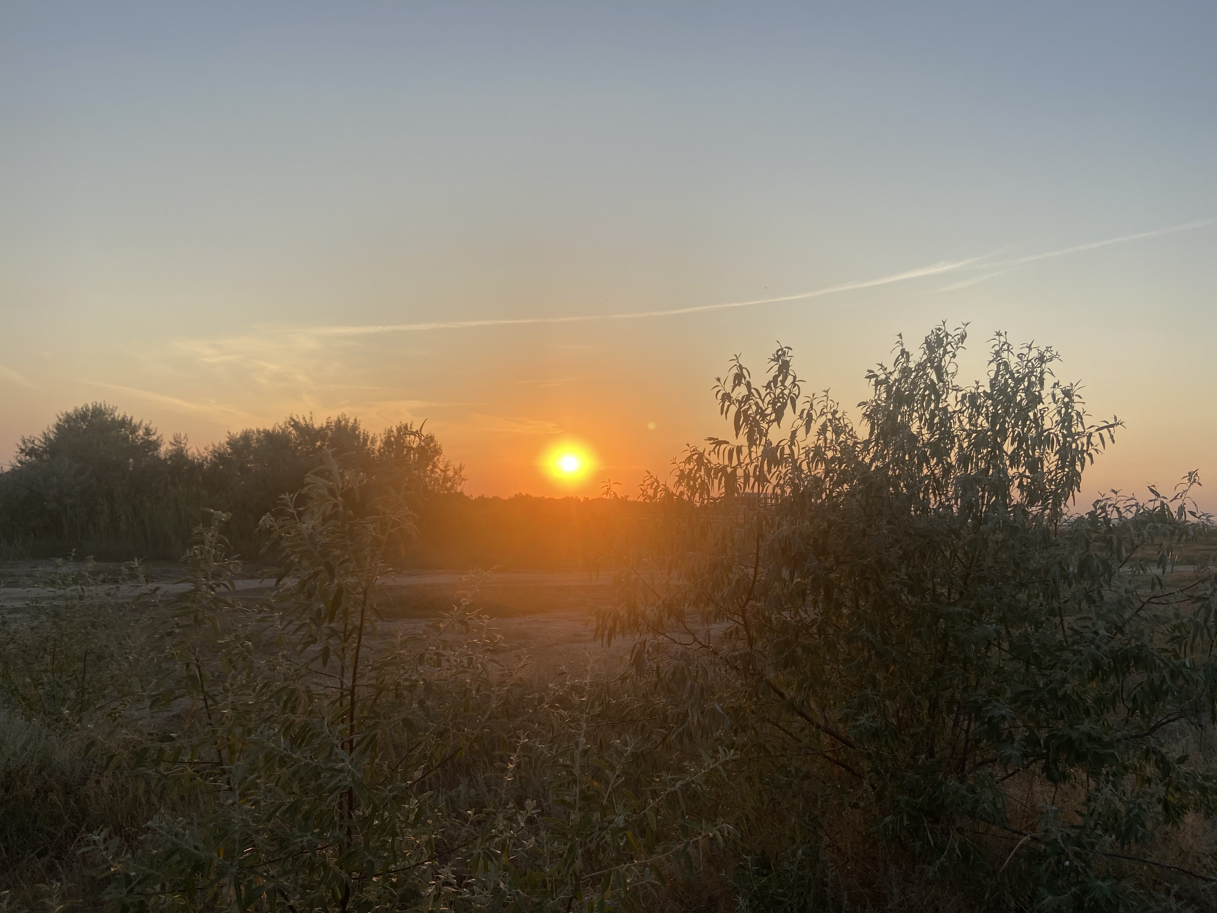 Фото Византийский дворик