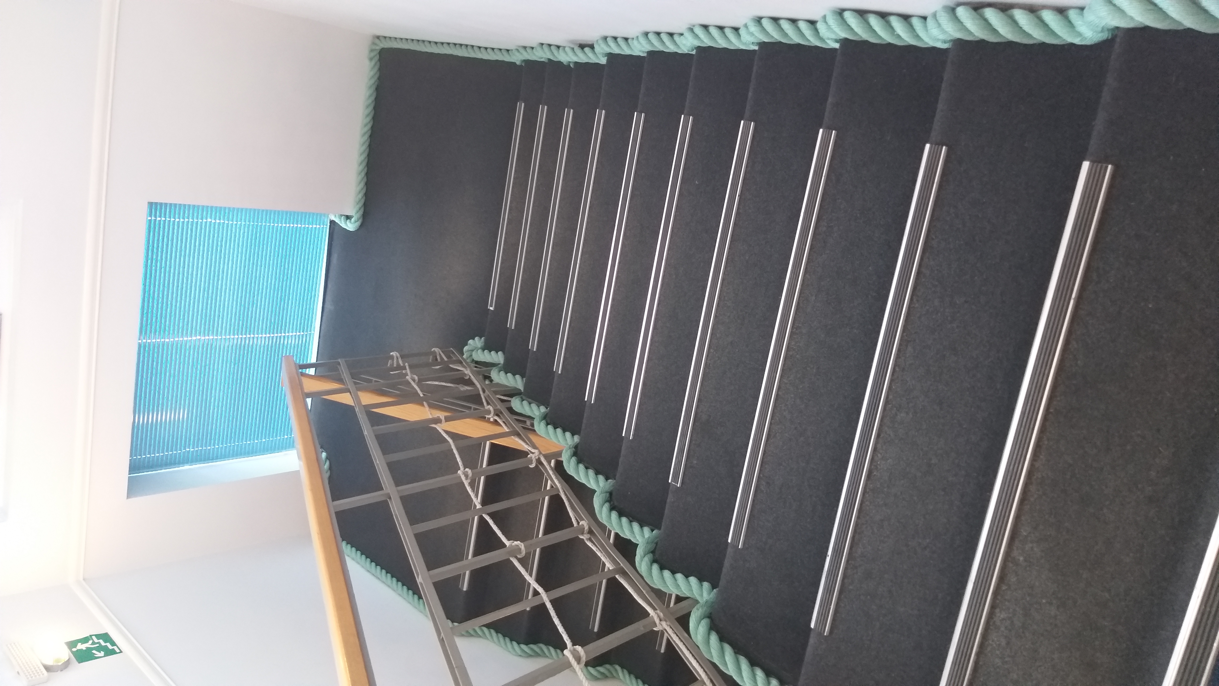 Фото Аврора