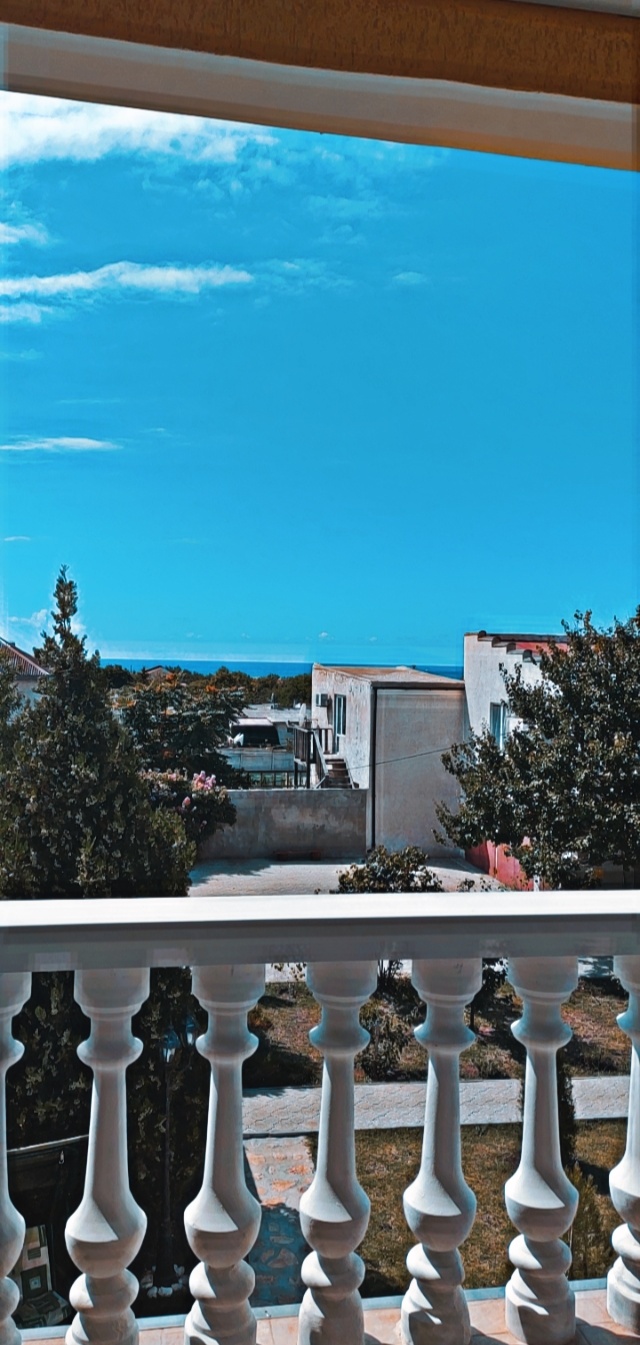 Фото Клевер