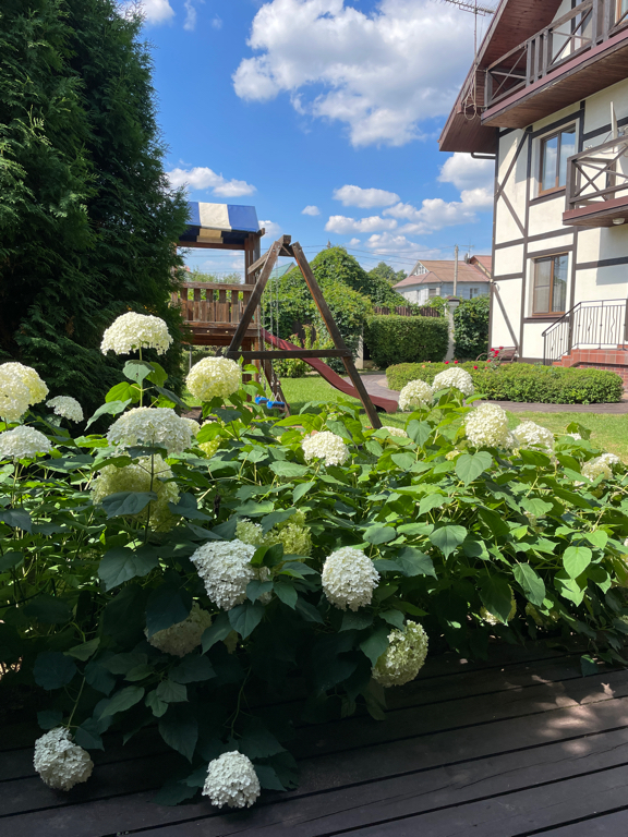 Фото Атланта Шереметьево
