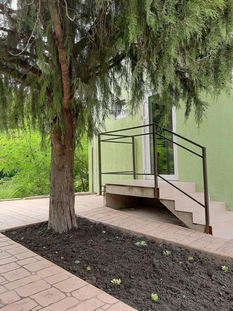 Фото Ромашка