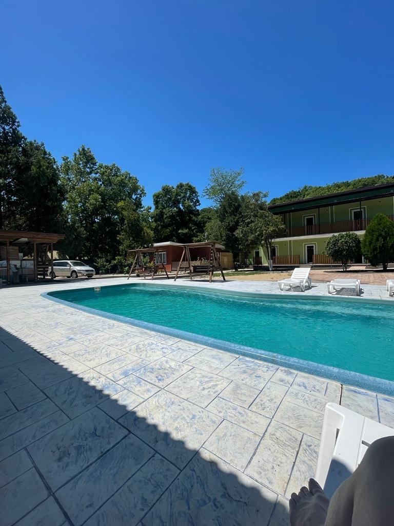 Фото Ромашка