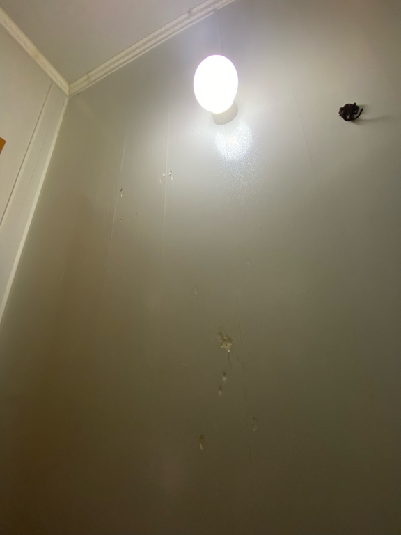 Фото У Марины