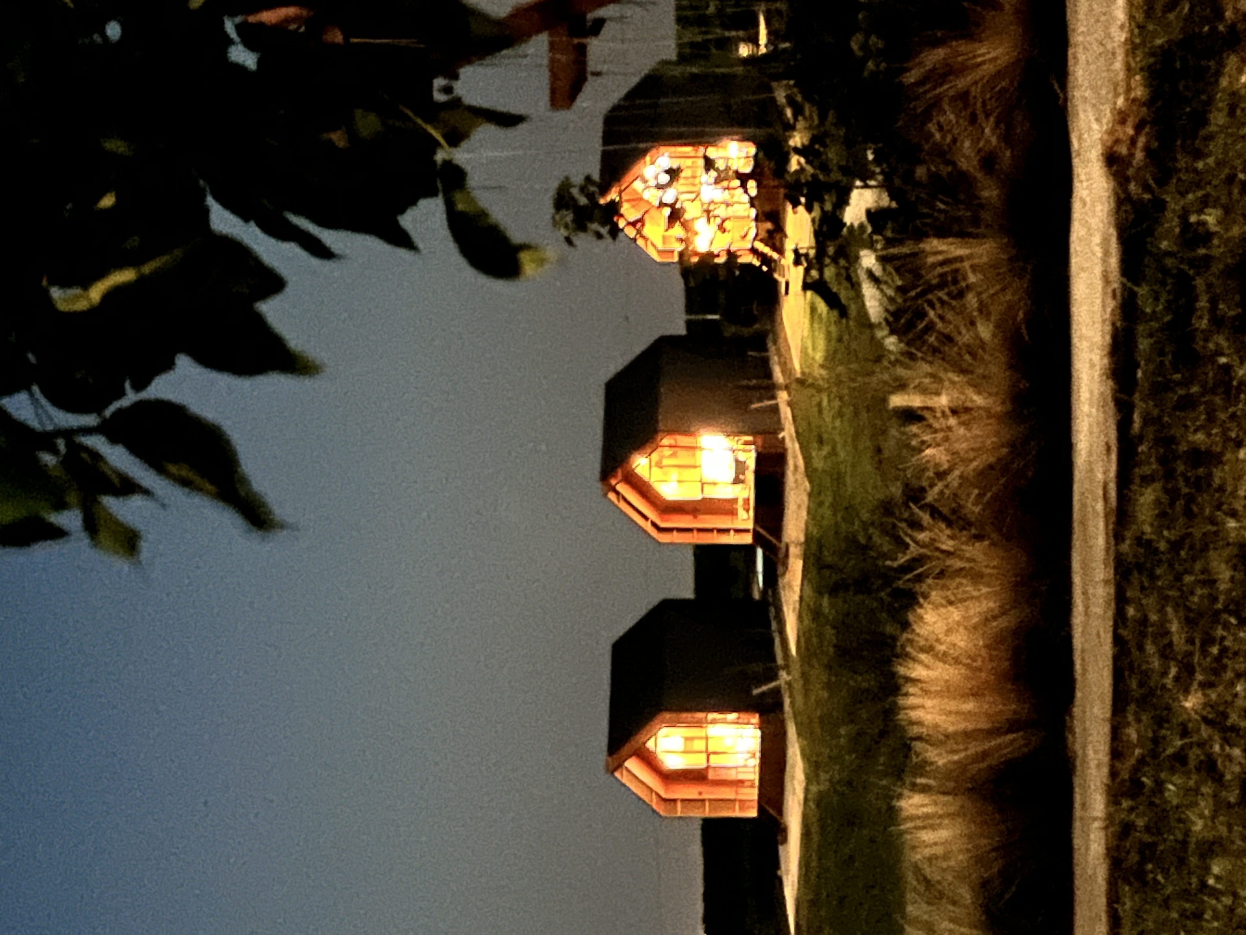 Фото Фридом