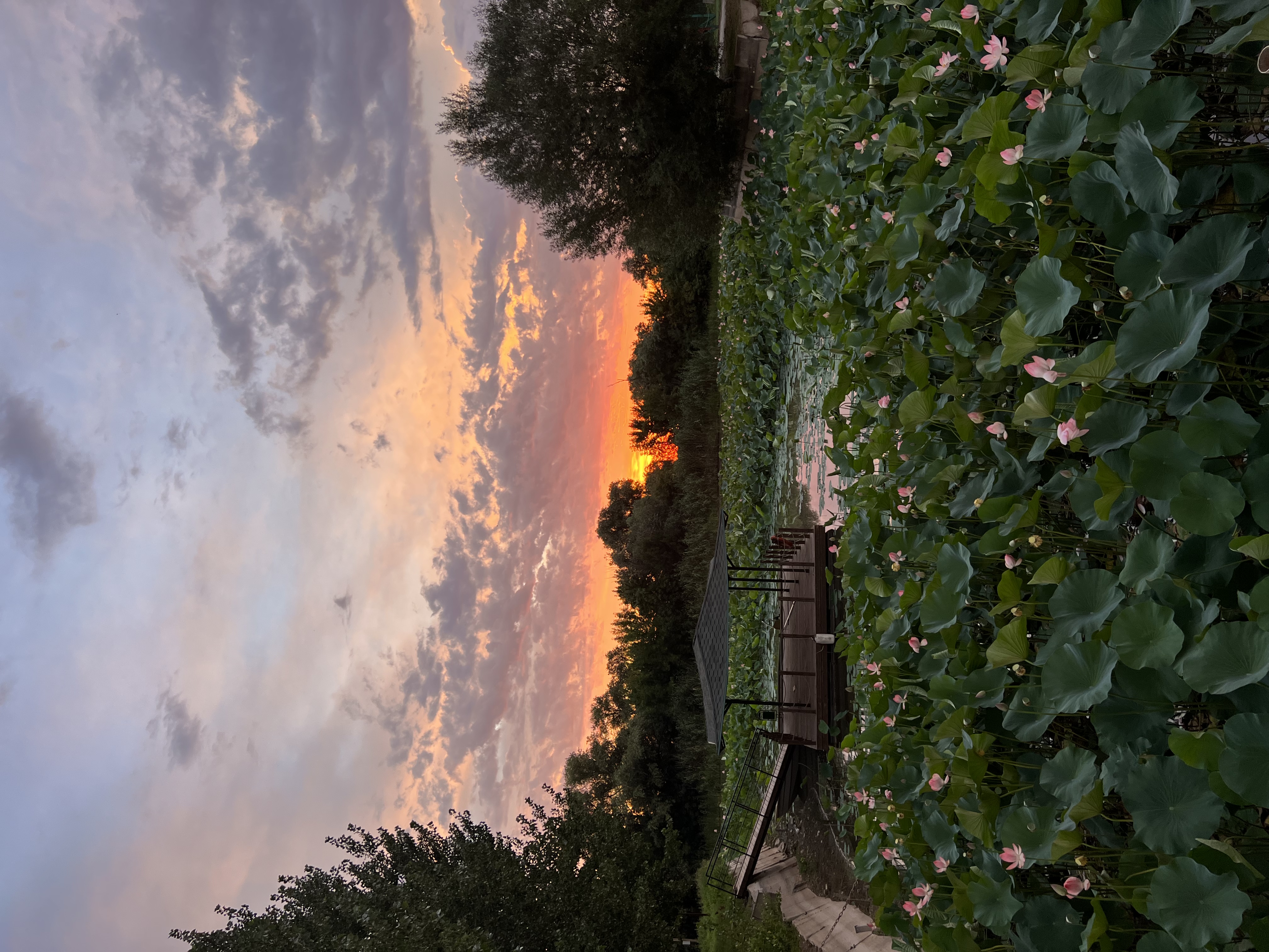 Фото Блесна