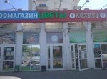 Magazin Tsvety i podarki (Sudogodskoye Highway, 1), flower shop